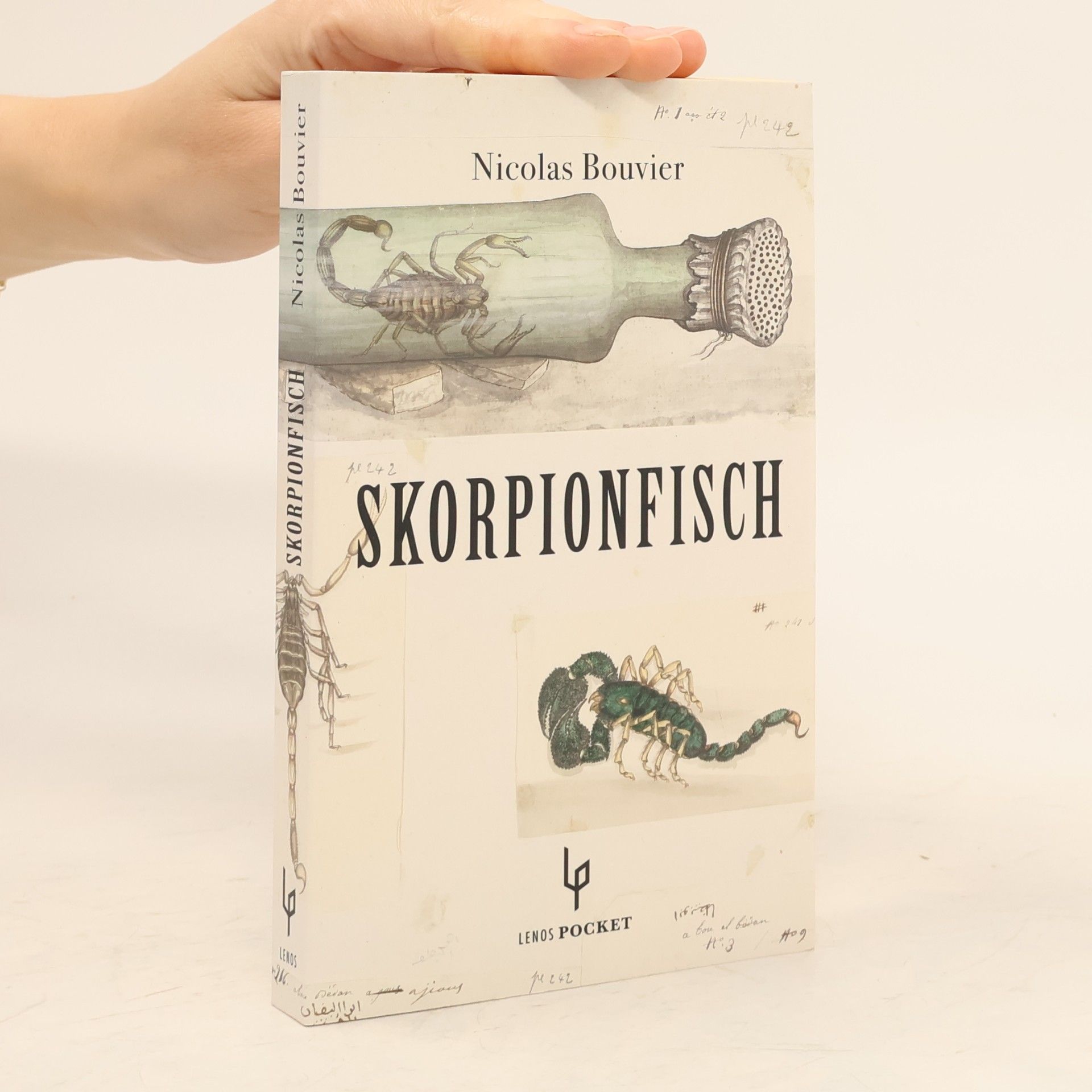 Nicolas Bouvier Der Skorpionfisch