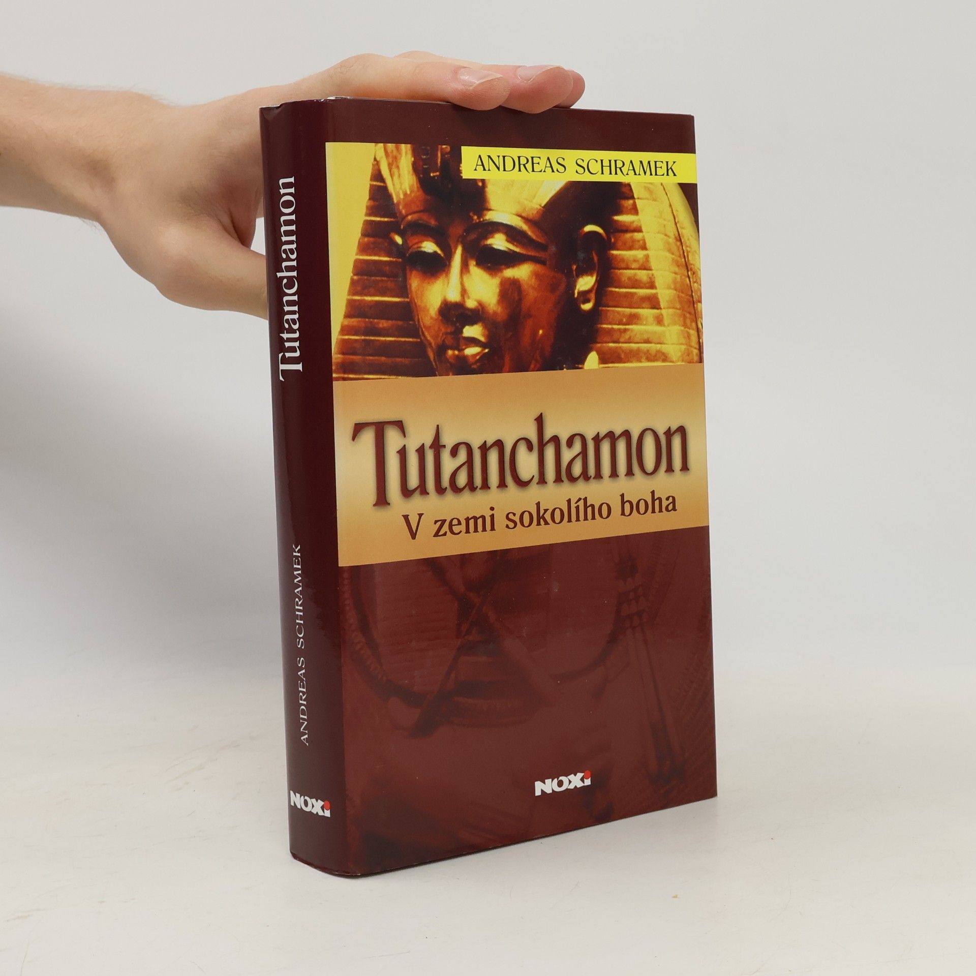 Andreas Schramek Tutanchamon: V zemi sokolího boha