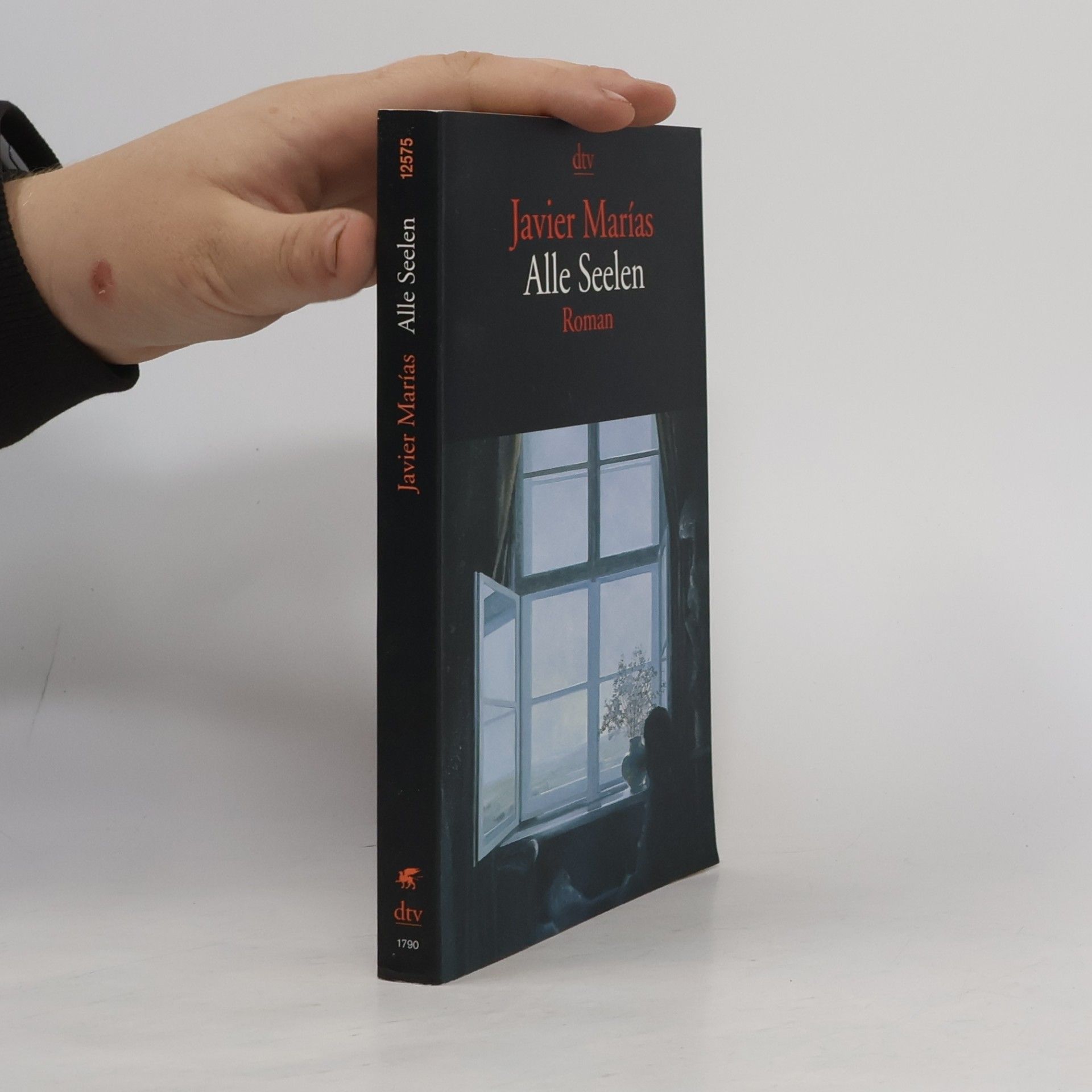 Javier Marías Alle Seelen