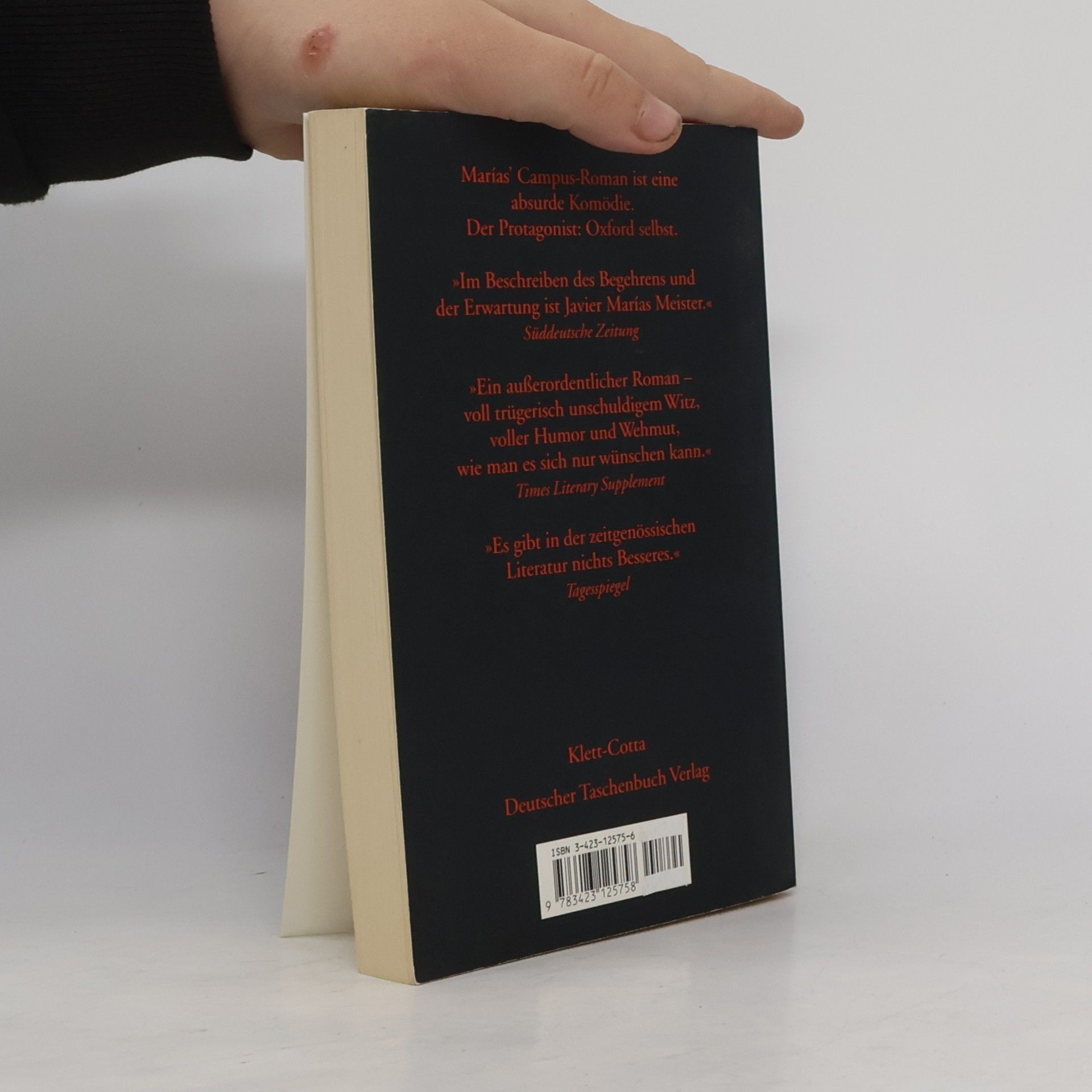 Javier Marías Alle Seelen
