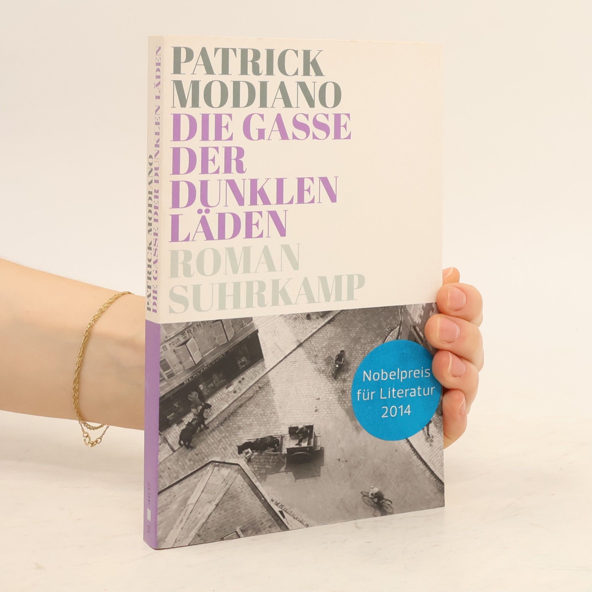 Patrick Modiano Die Gasse der dunklen Läden