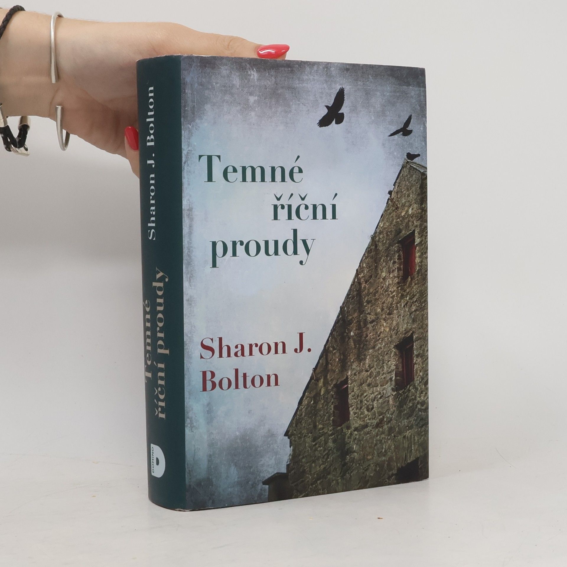 S. J. Bolton Temné říční proudy