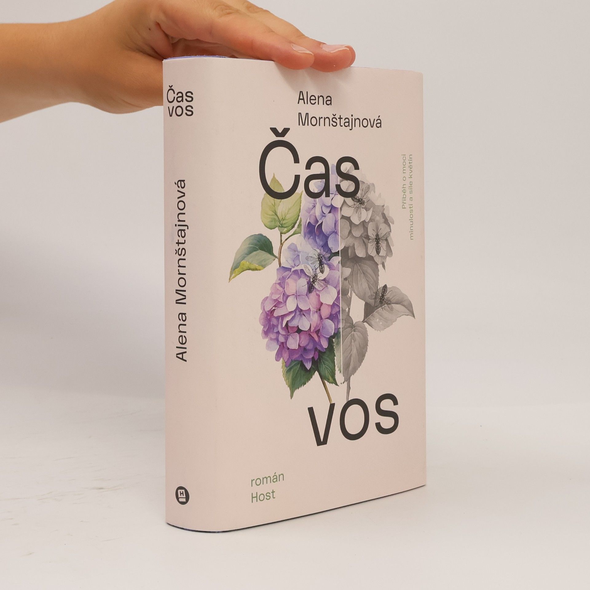 Alena Mornštajnová Čas vos