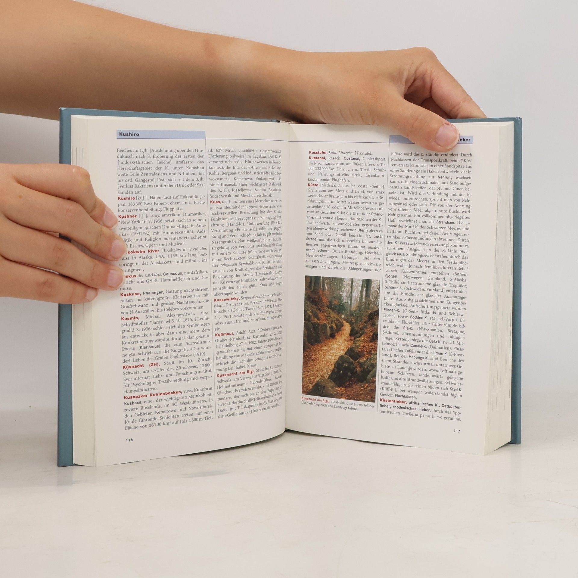 Various authors Das große Welt-Lexikon in 21 Bänden