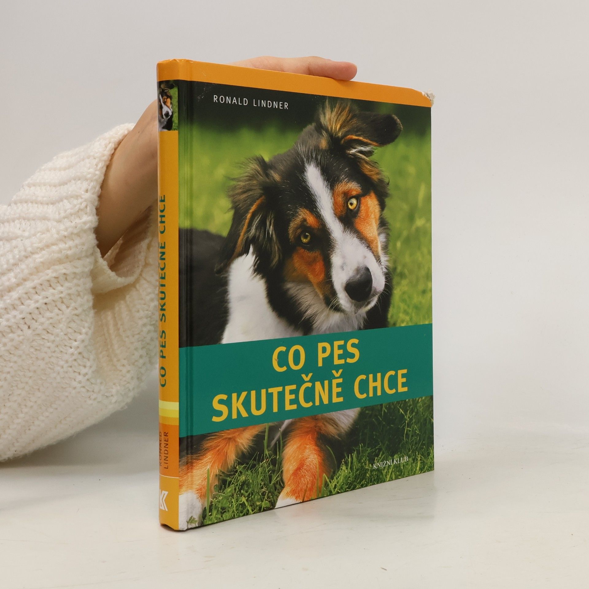 Ronald Lindner Co pes skutečně chce