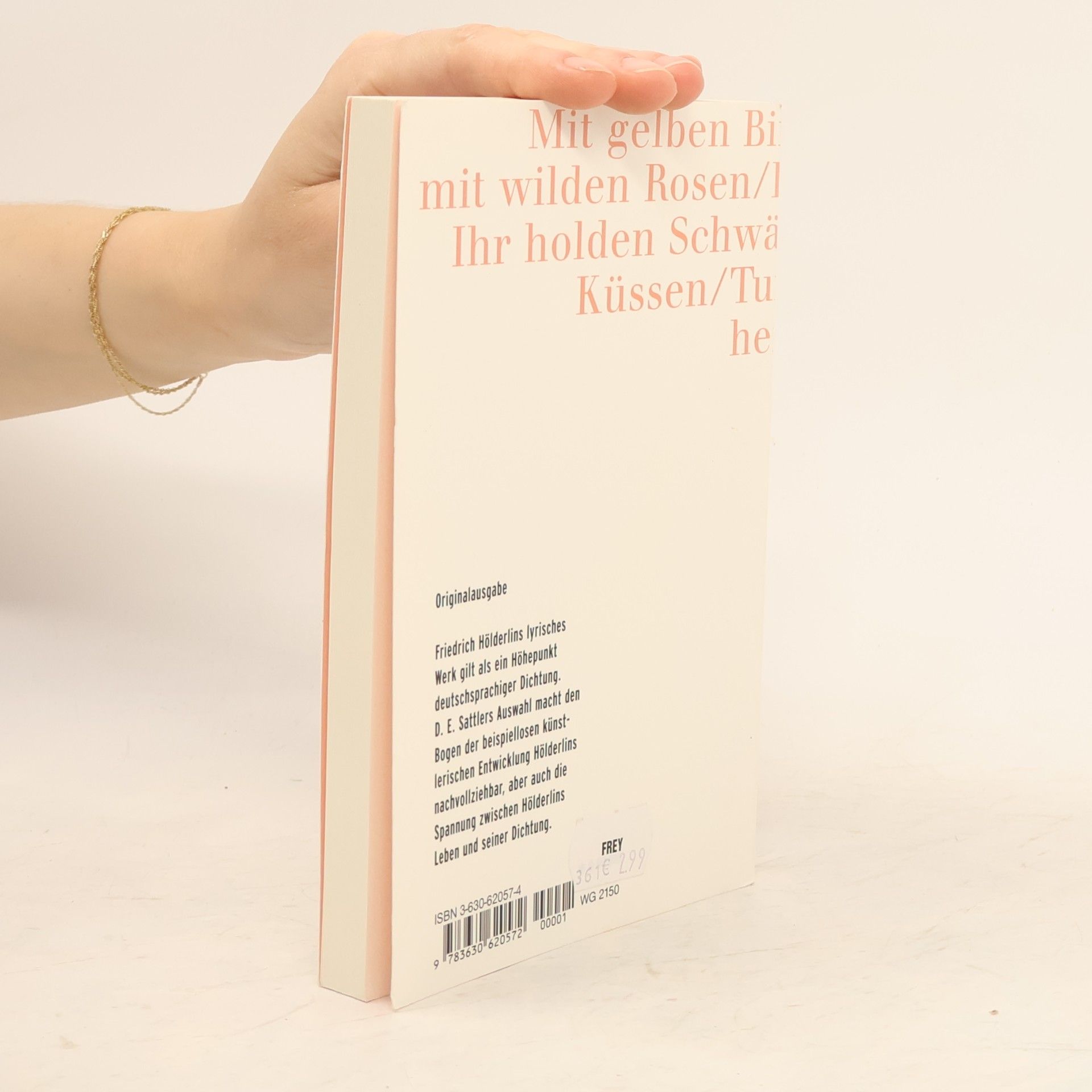 Friedrich Hölderlin Sammlung Luchterhand - 2057: Einhundert Gedichte