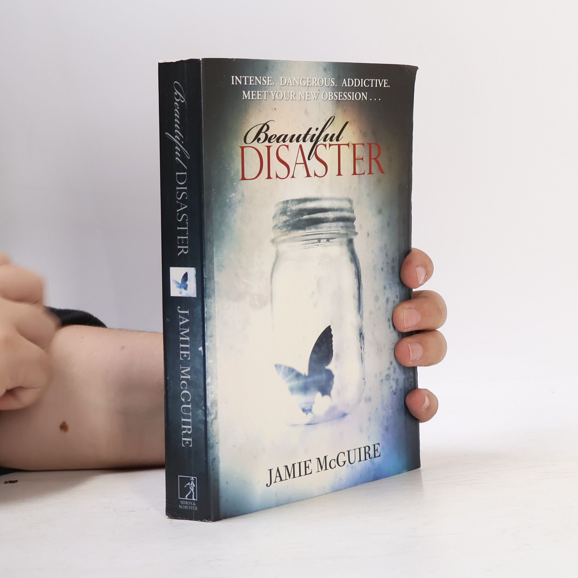 Jamie McGuire Beautiful Disaster