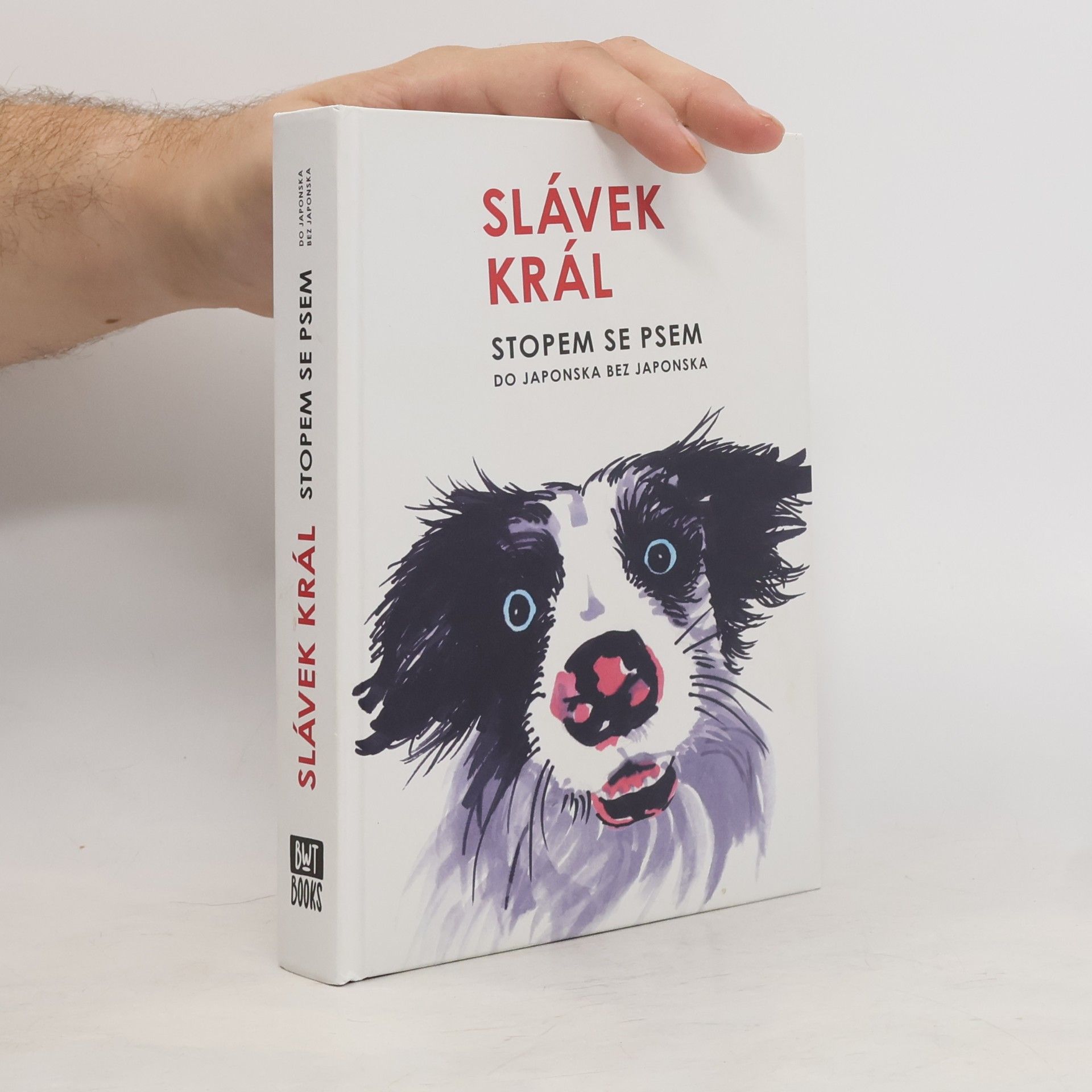 Slávek Král Stopem se psem : do Japonska bez Japonska