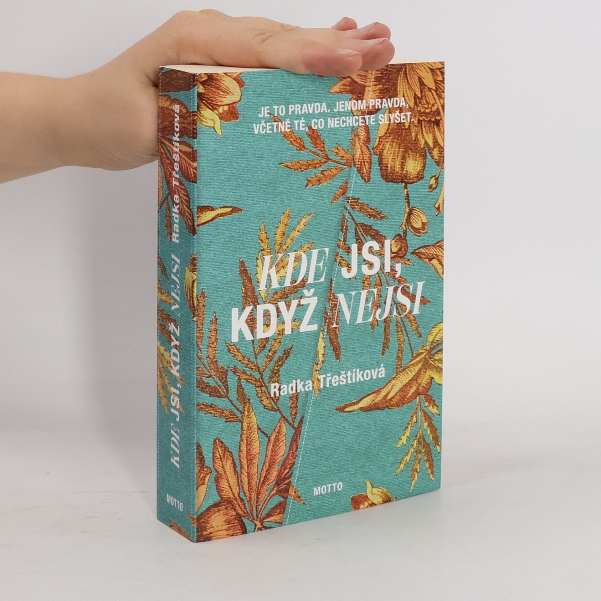 Radka Třeštíková Kde jsi, když nejsi