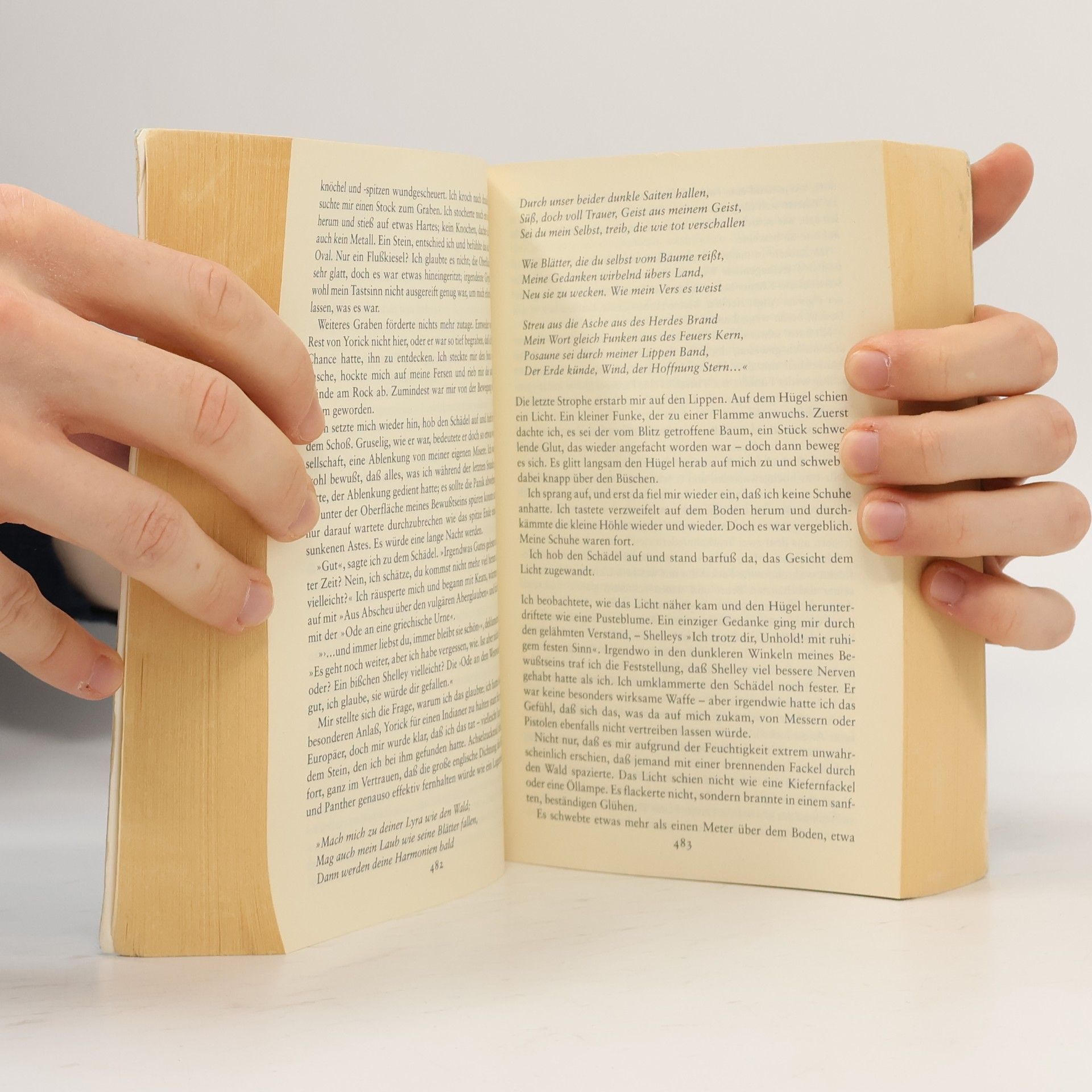 Diana Gabaldon Der Ruf der Trommel