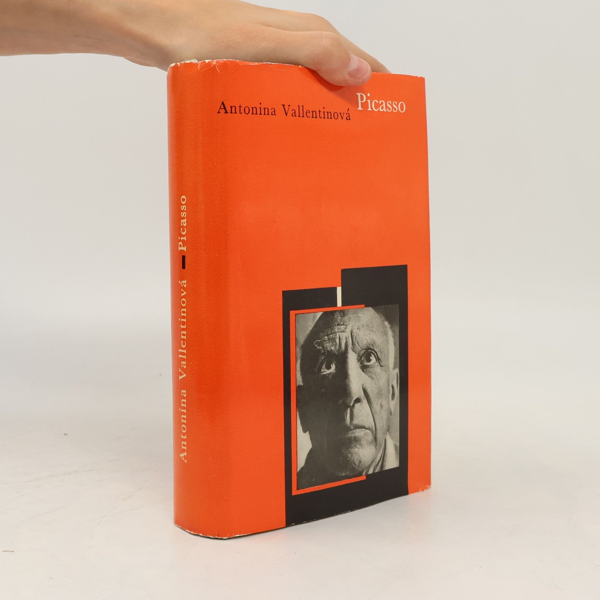 Antonina Vallentin Picasso