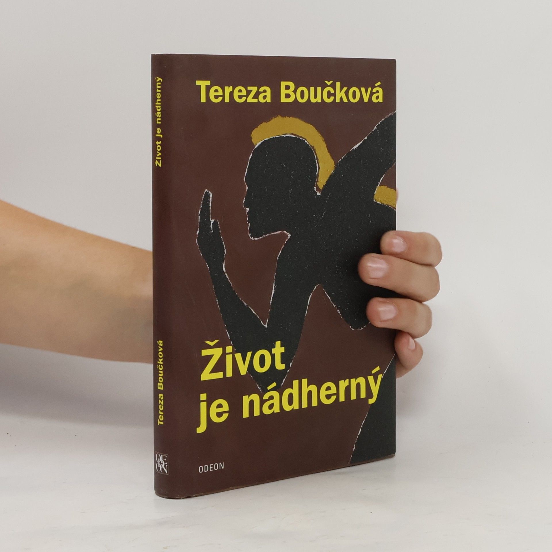 Tereza Boučková Život je nádherný