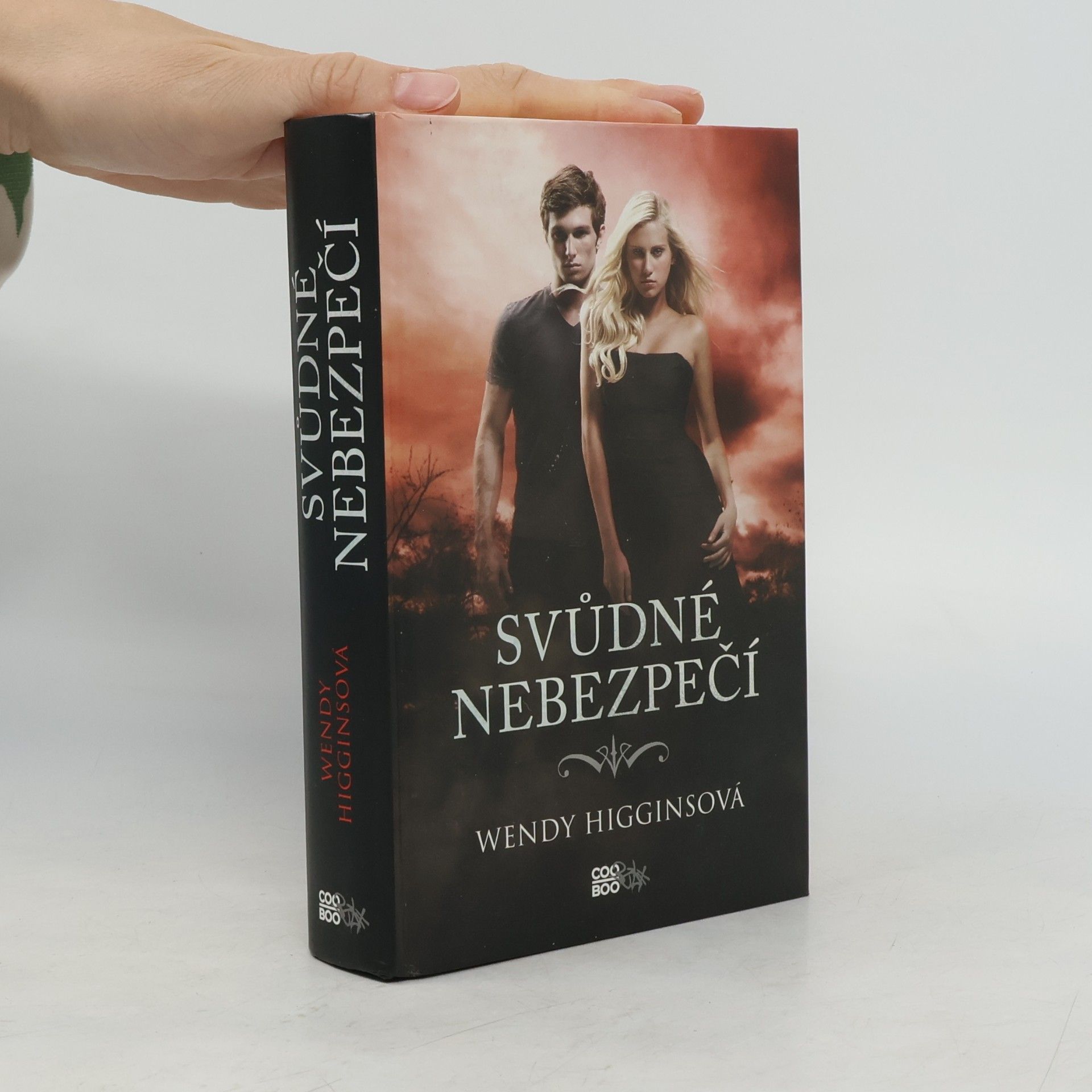 Wendy Higgins Svůdné nebezpečí