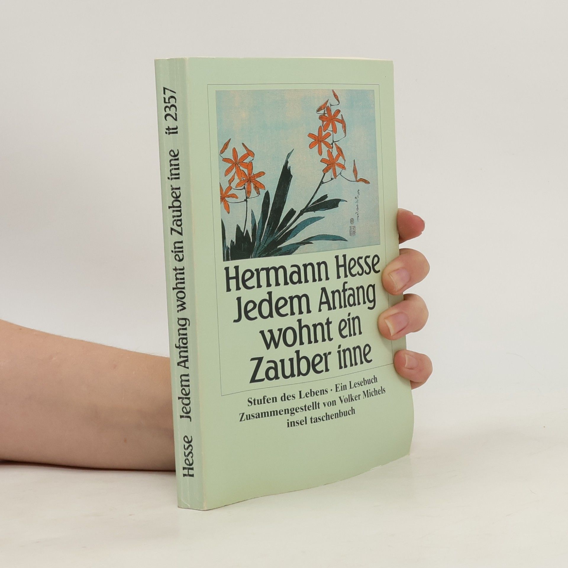 Hermann Hesse Jedem Anfang wohnt ein Zauber inne
