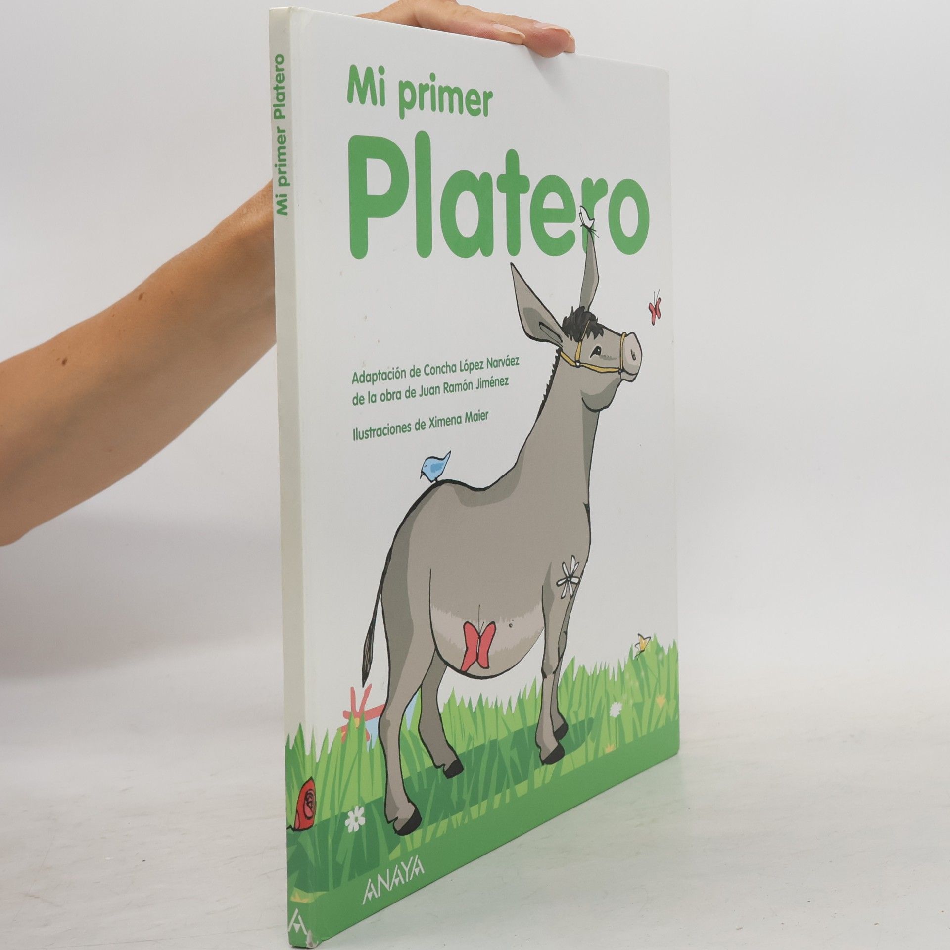 Ximena Maier Pan de Soraluce Mi primer Platero
