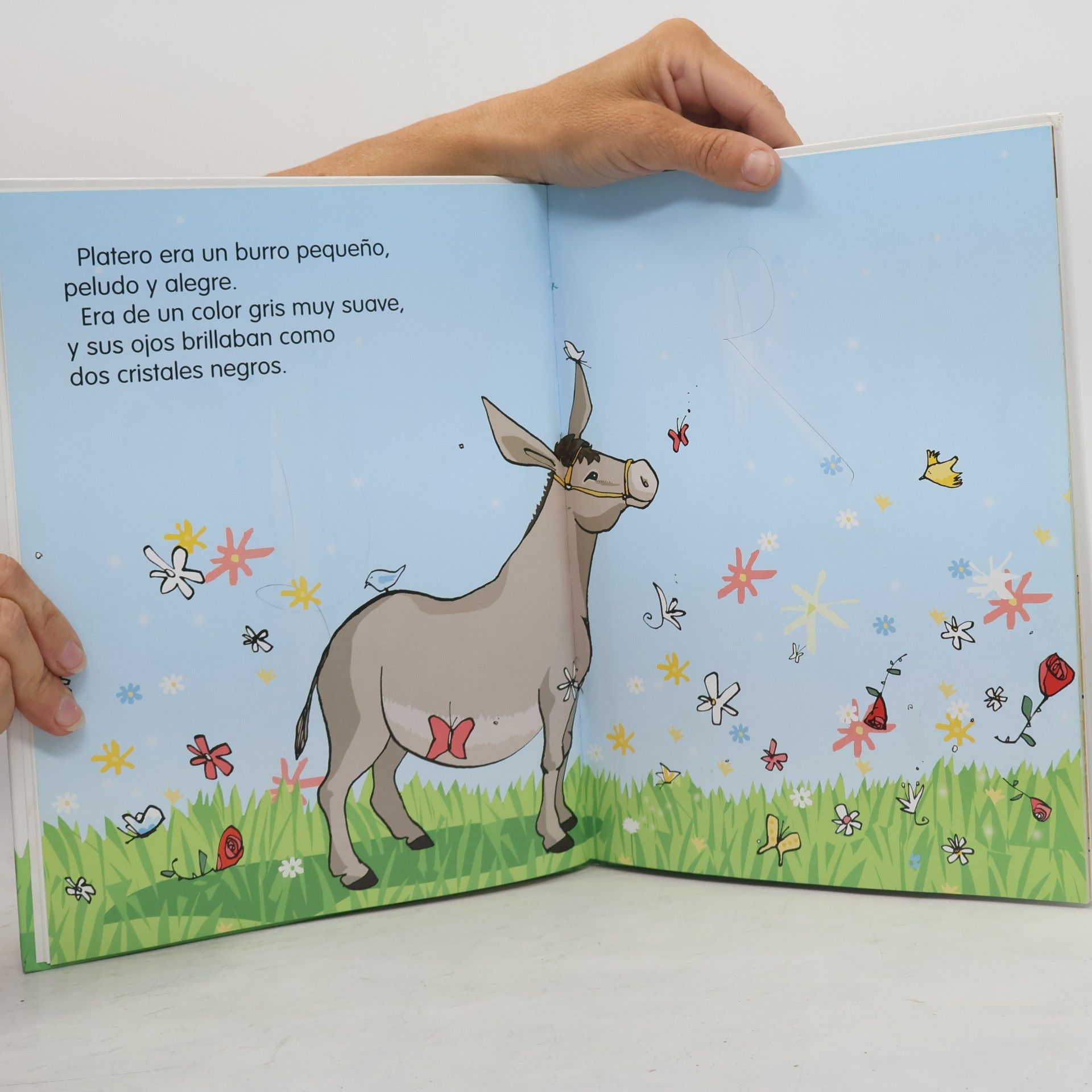 Concha Lopéz Narváez Mi primer Platero
