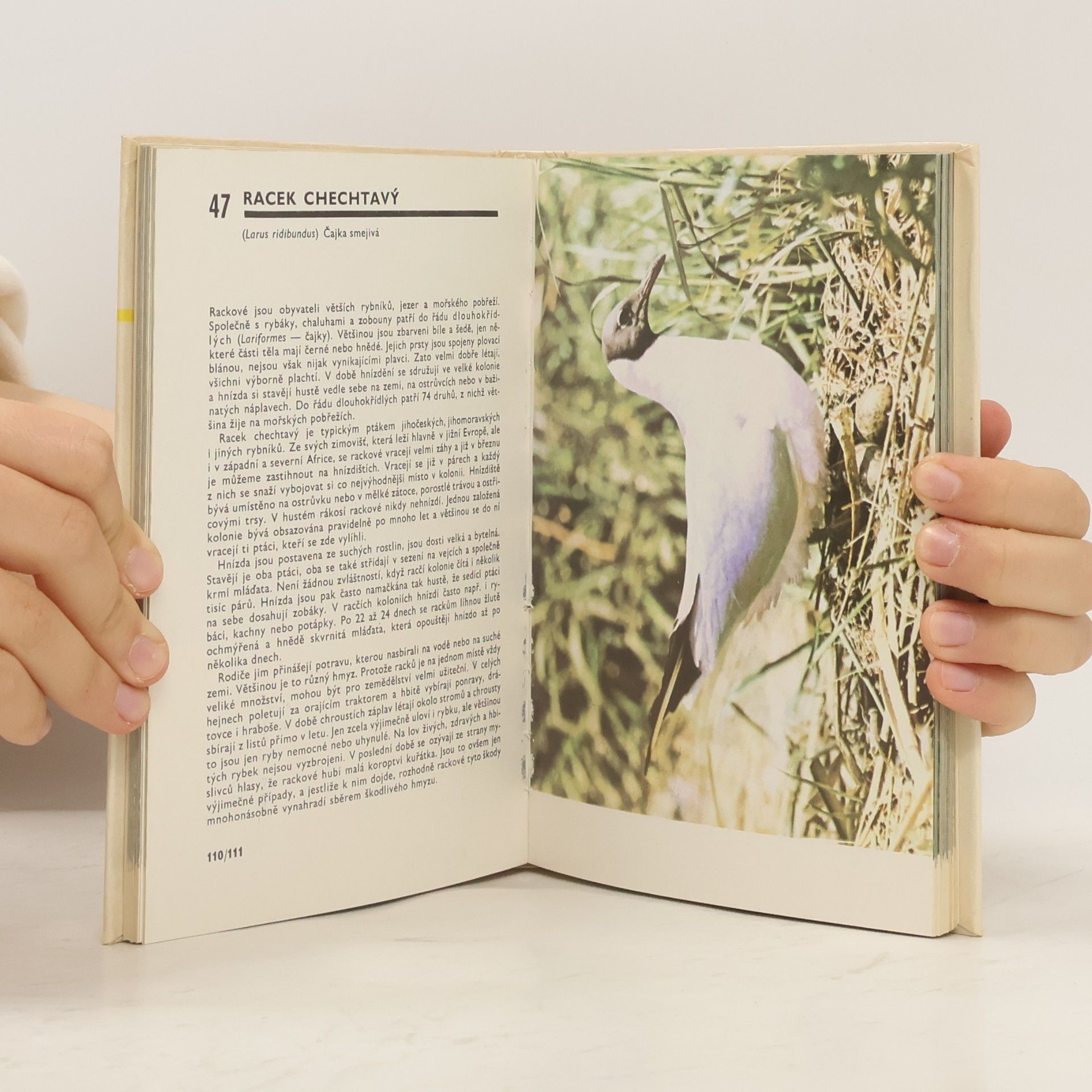 Miroslav Bouchner Kapesní atlas ptáků