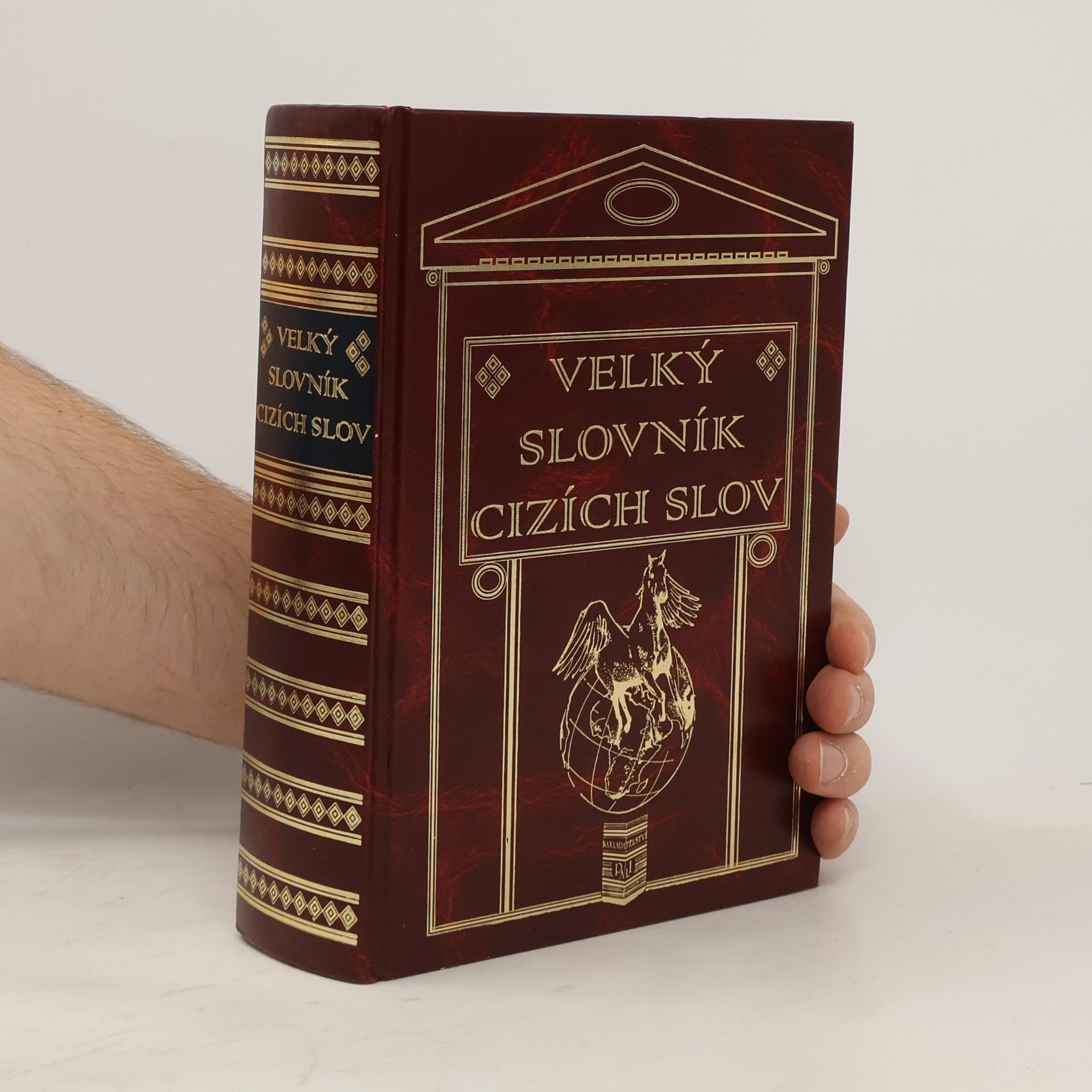 Collectif d'auteurs Velký slovník cizích slov