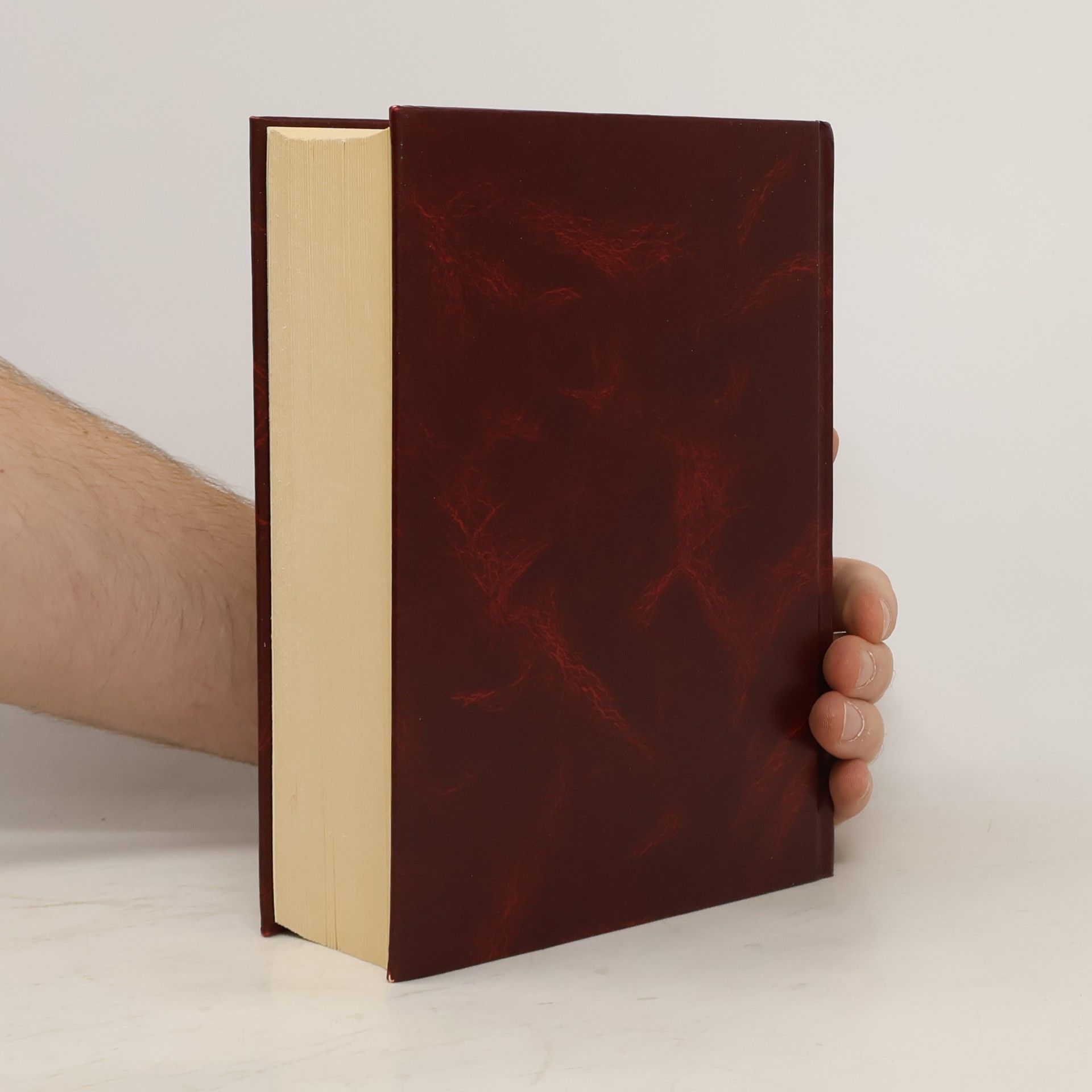 Autores varios Velký slovník cizích slov