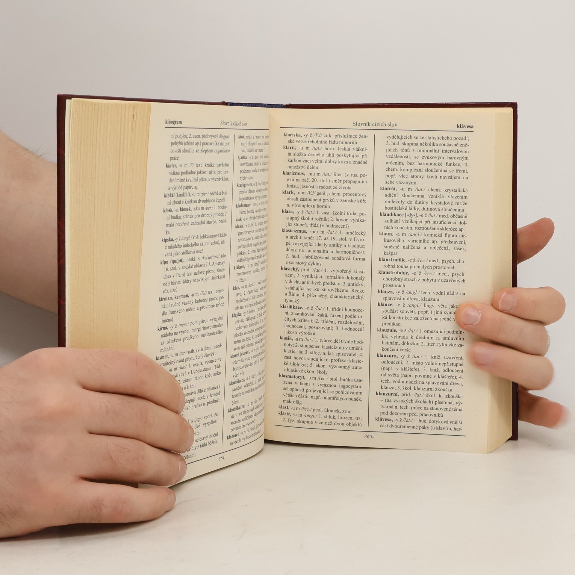 Autores varios Velký slovník cizích slov