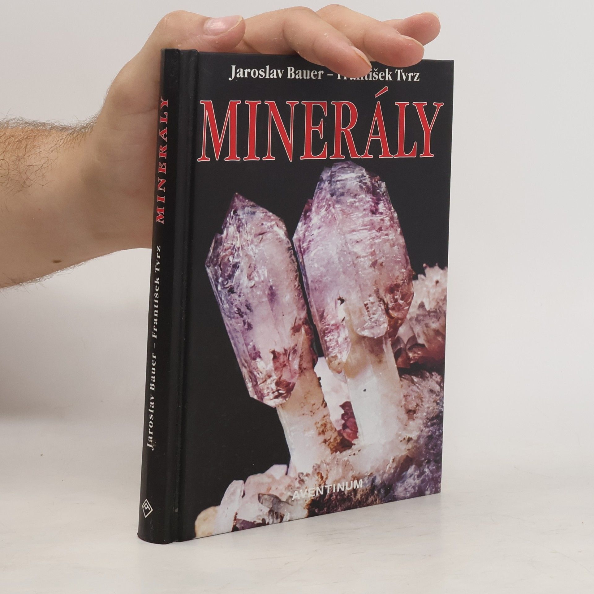 František Tvrz Minerály