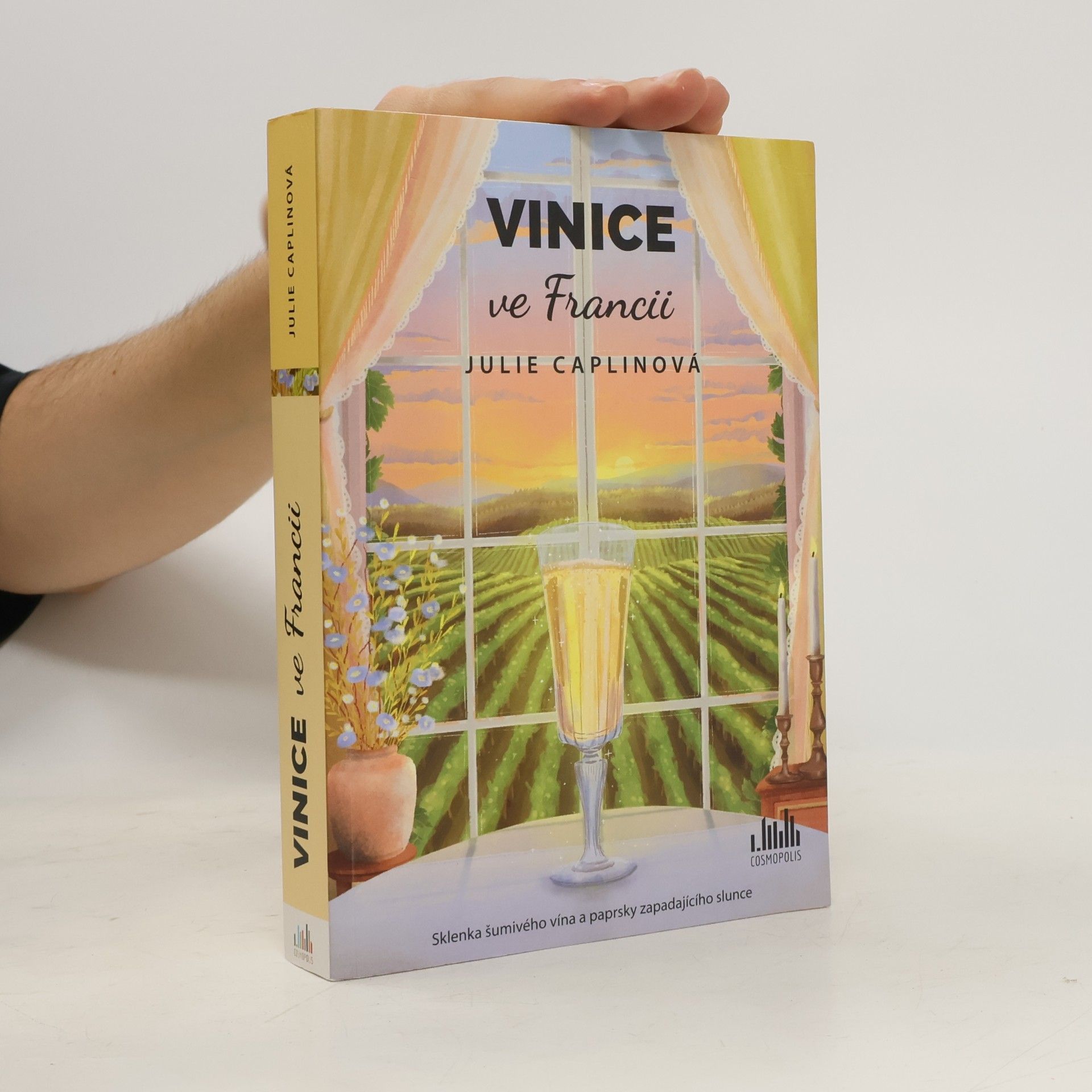Julie Caplin Vinice ve Francii