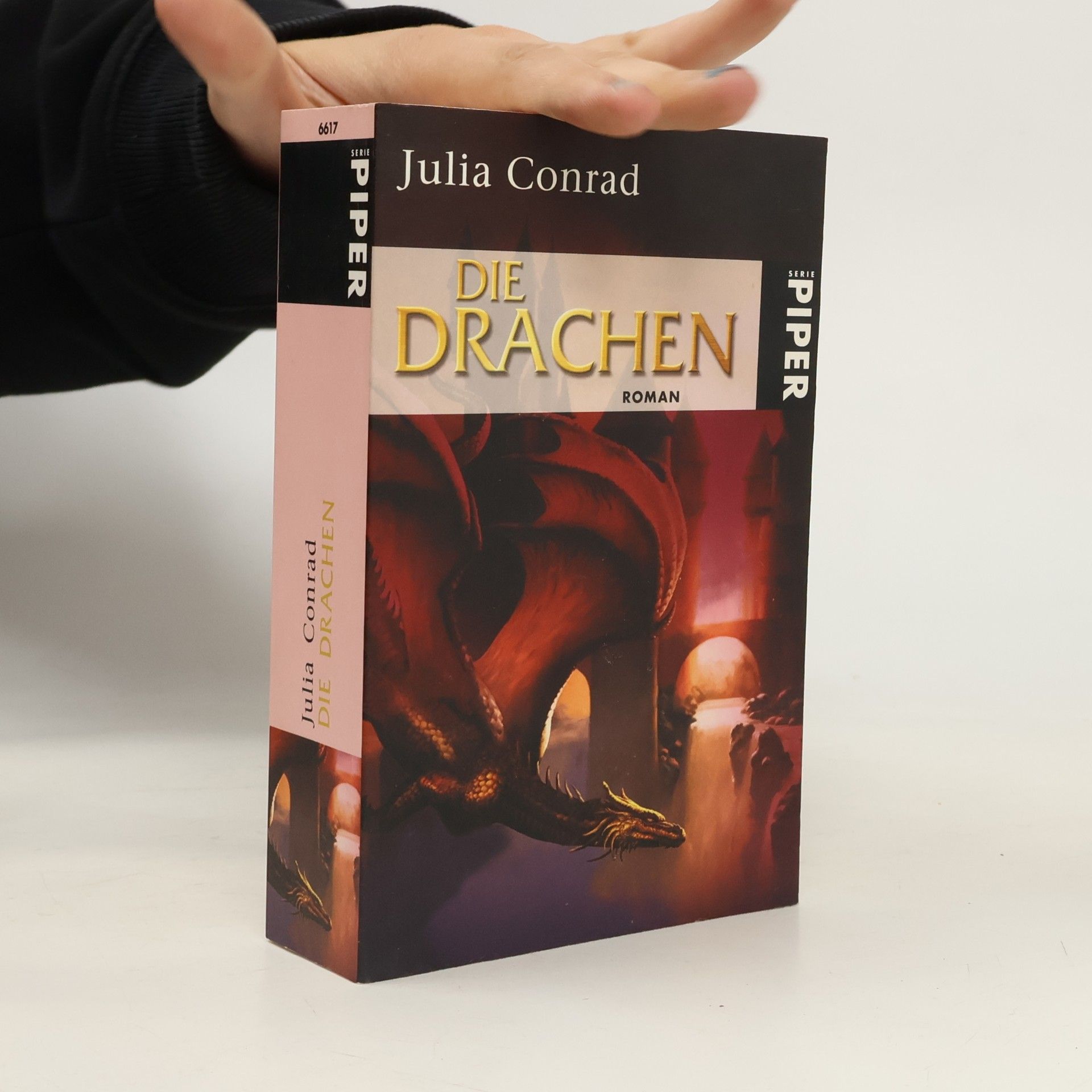 Julia Conrad Die Drachen