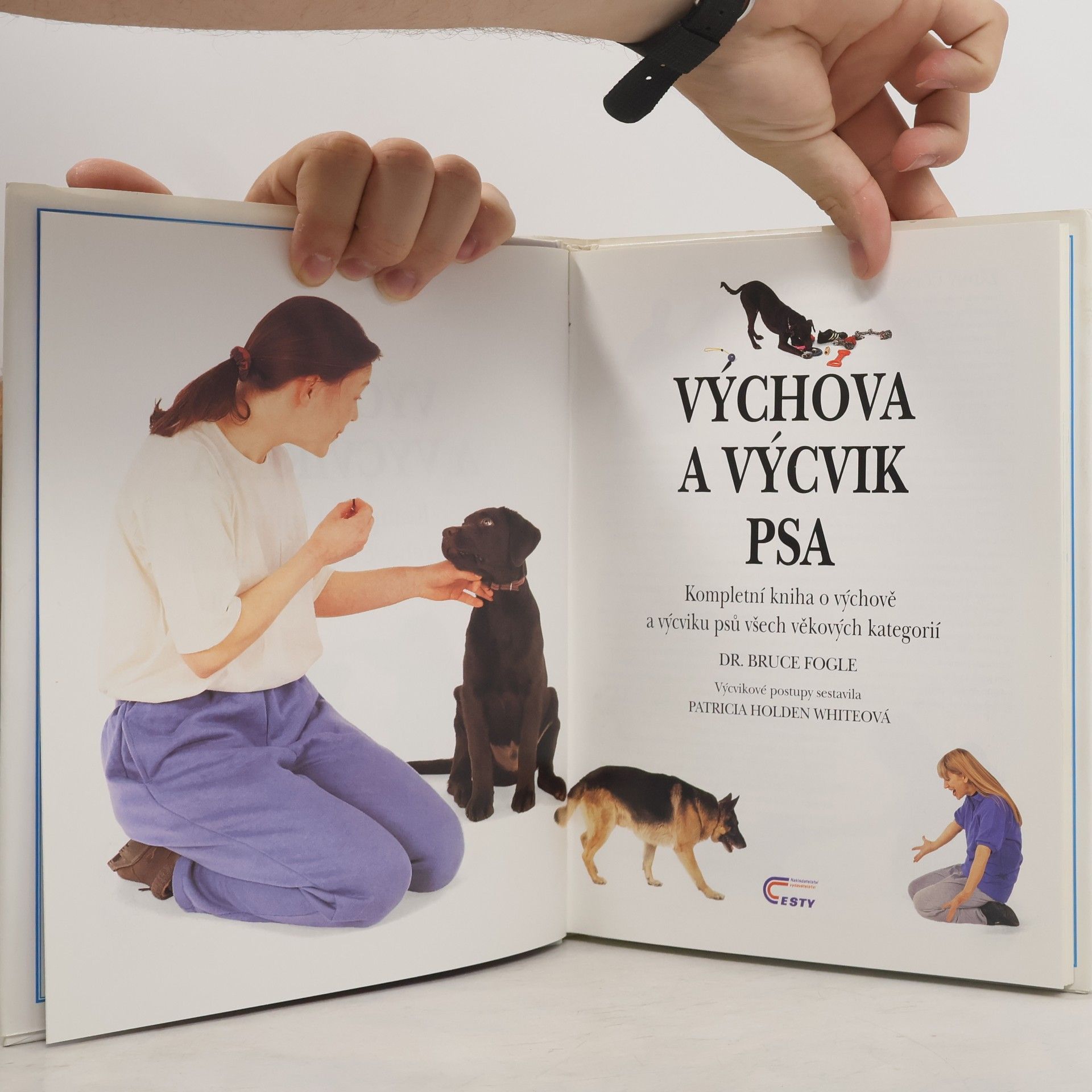 Bruce Folge Výchova a výcvik psa