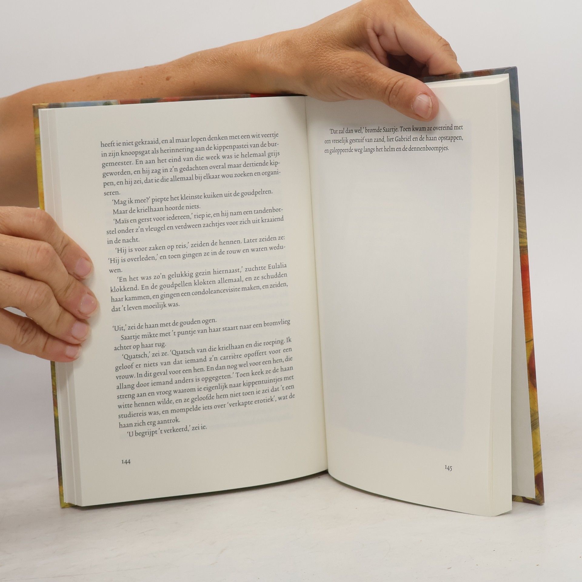 Henriëtte van Eyk Fonteins klassieke jeugdboeken - 7: Gabriël