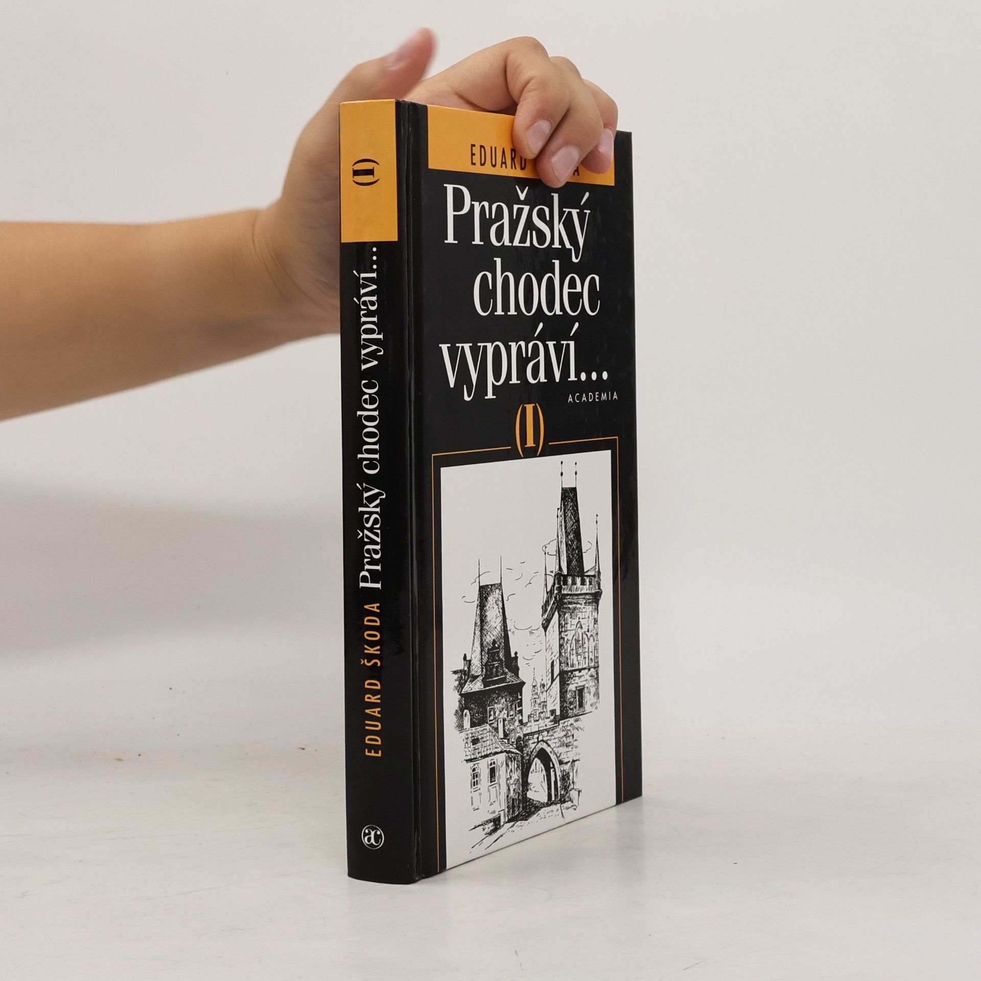 Hedvika Vilgusová Pražský chodec vypráví..., díl I