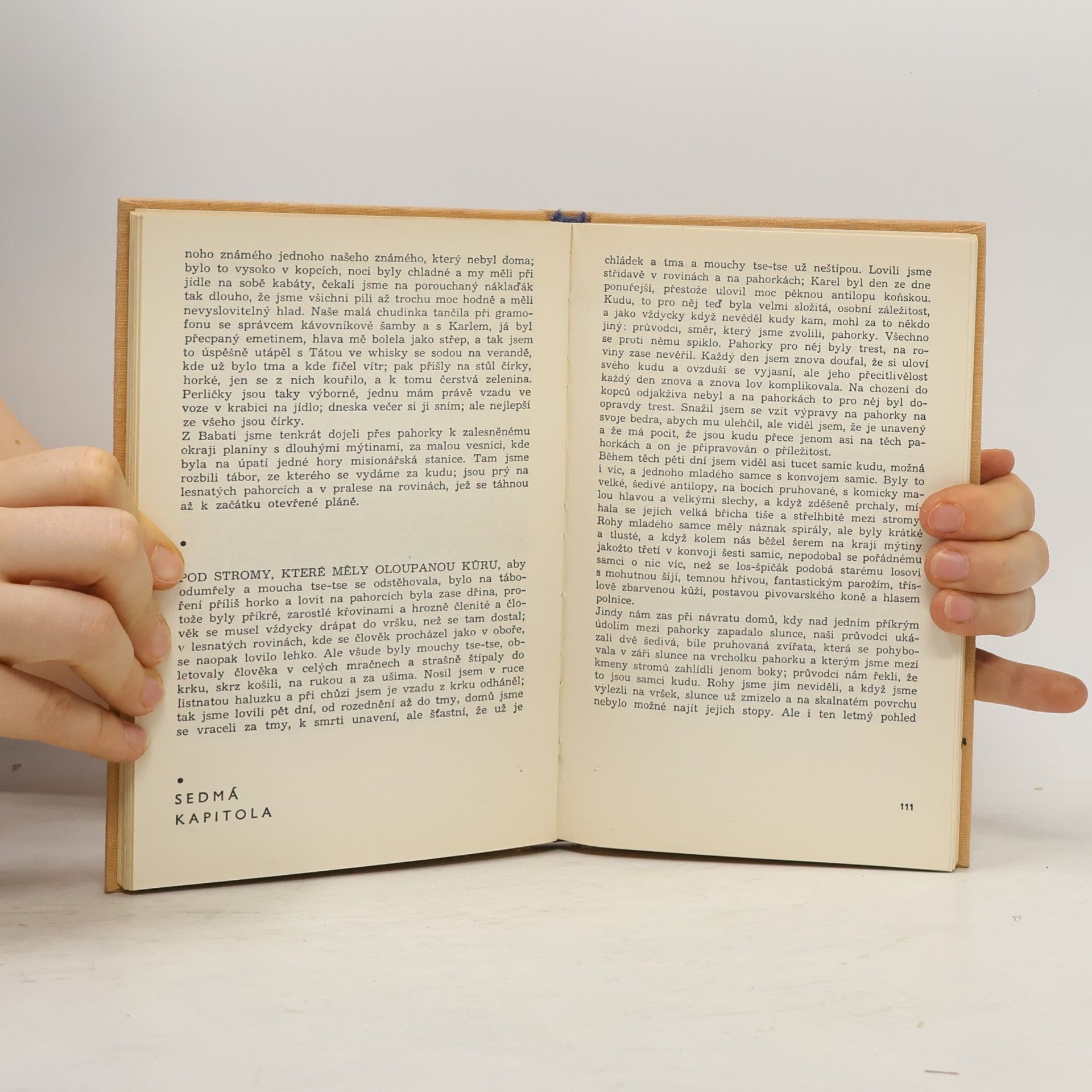 Ernest Hemingway Zelené pahorky africké