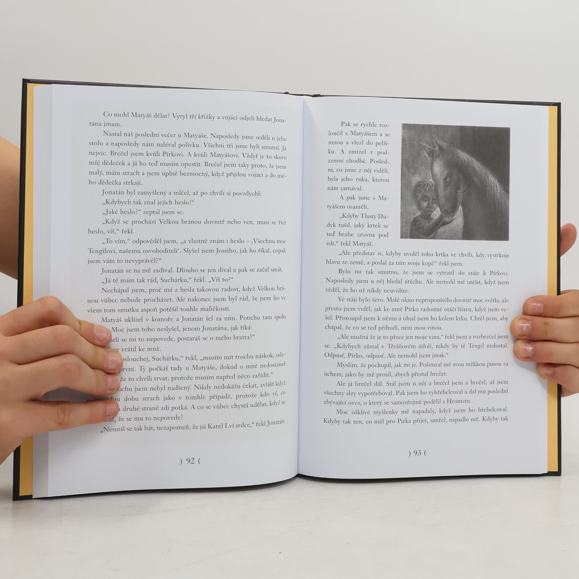 Astrid Lindgrenová Bratři Lví srdce