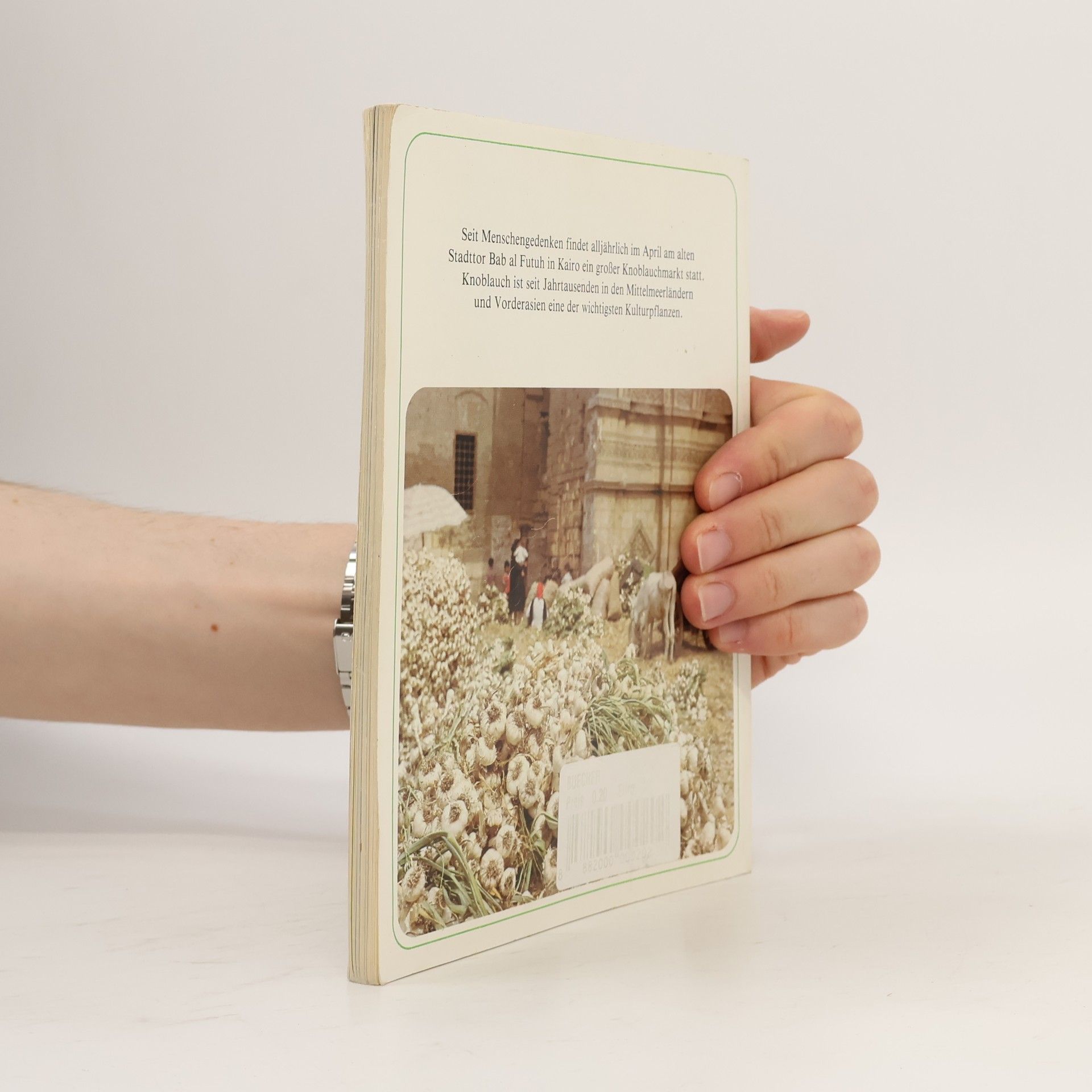 Nora Richter Knoblauch Kochbuch