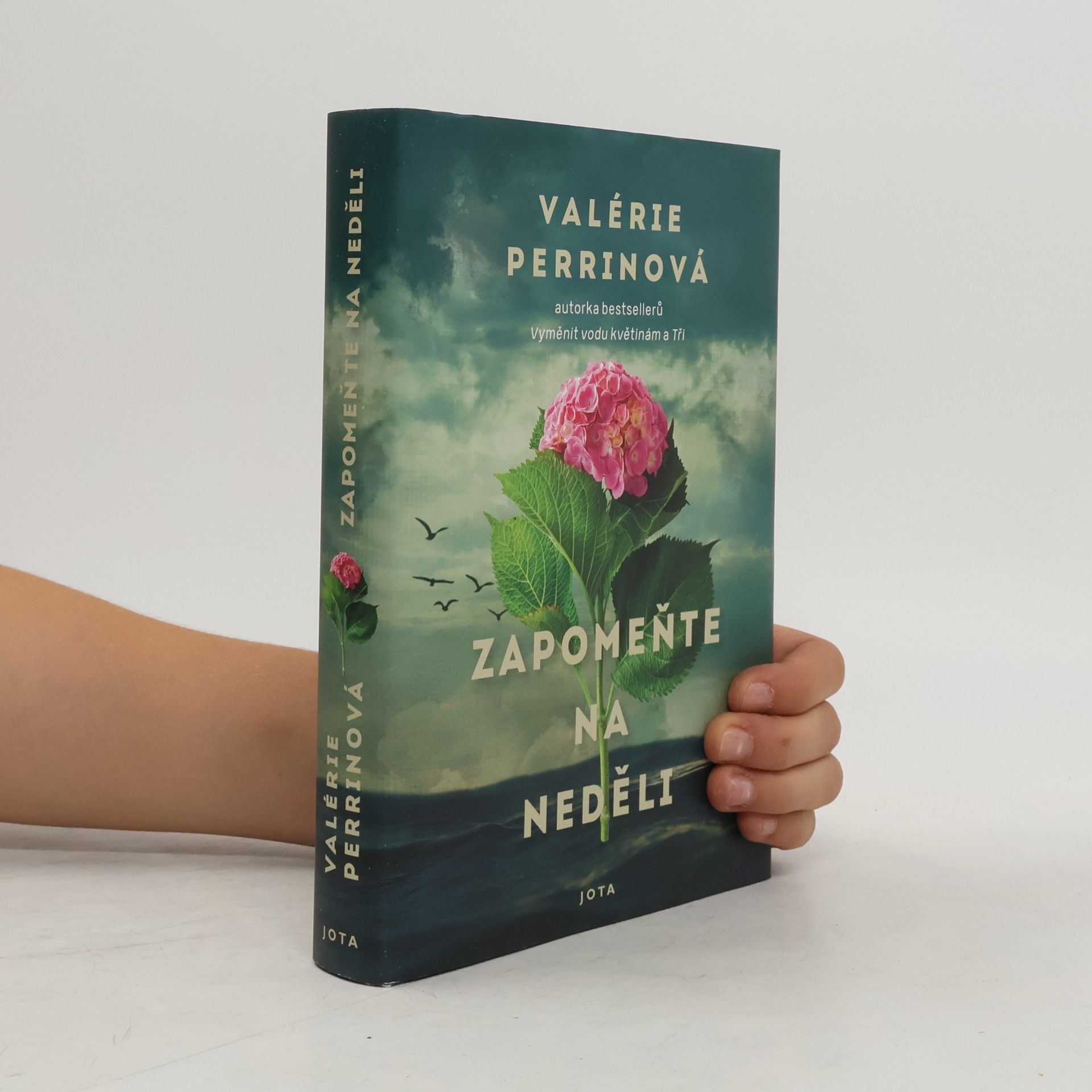 Valérie Perrin Zapomeňte na neděli