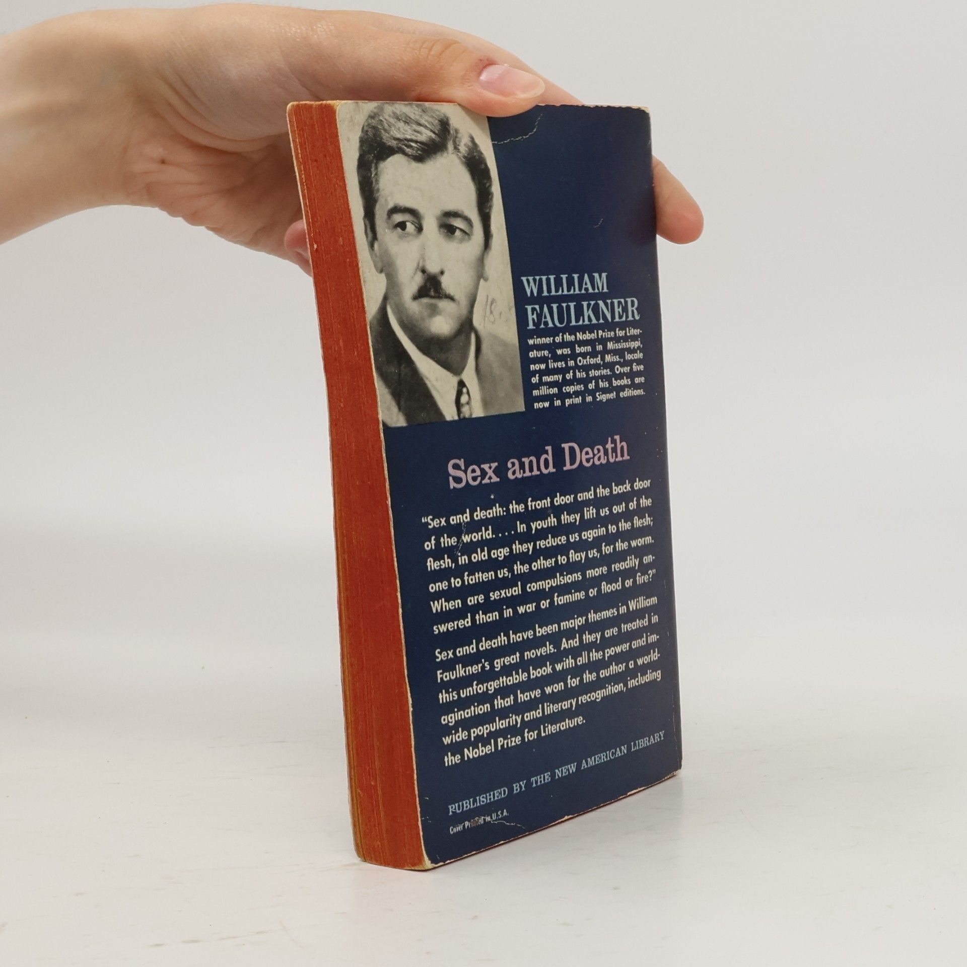 William Faulkner Soldiers' Pay