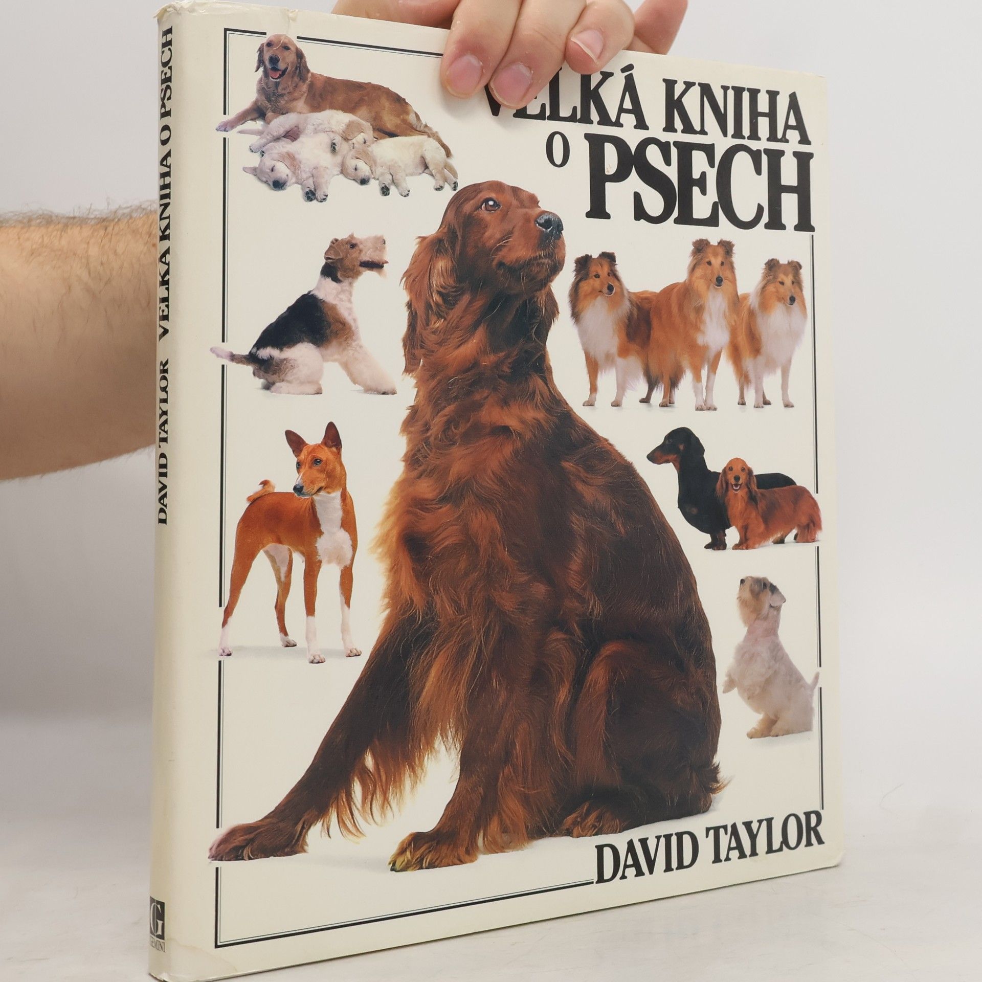 David Taylor Velká kniha o psech