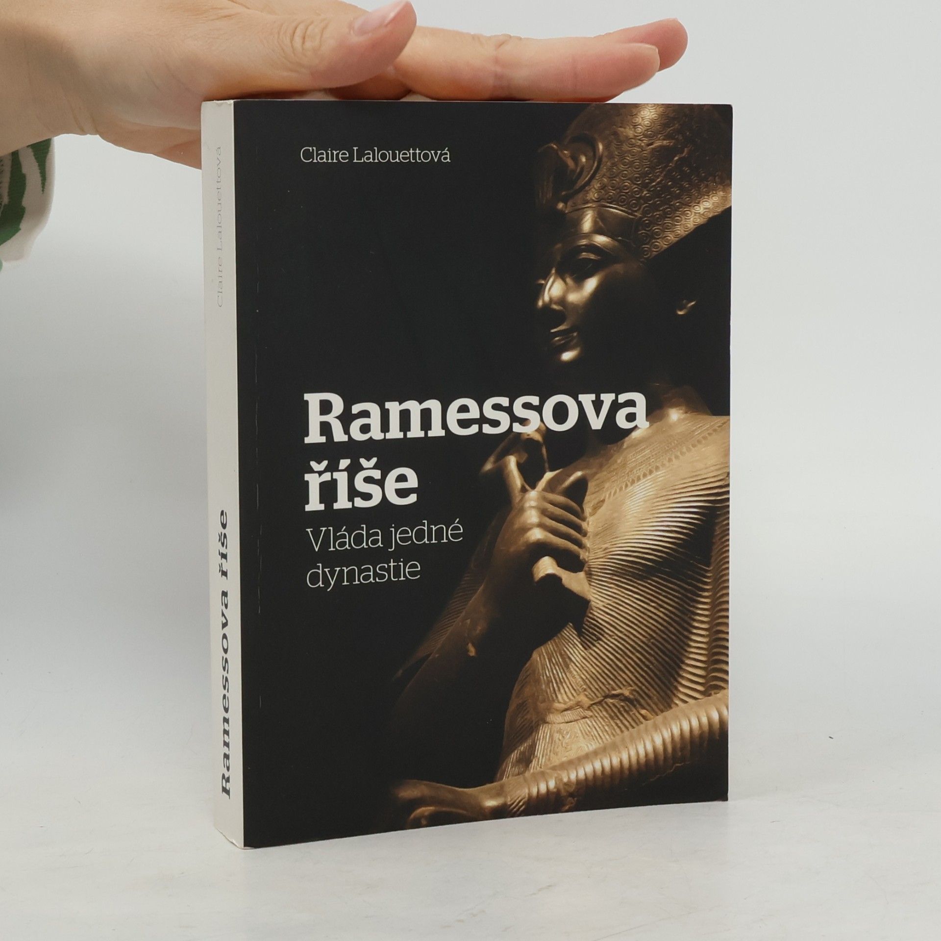 Ramessova říše: Vláda jedné dynastie