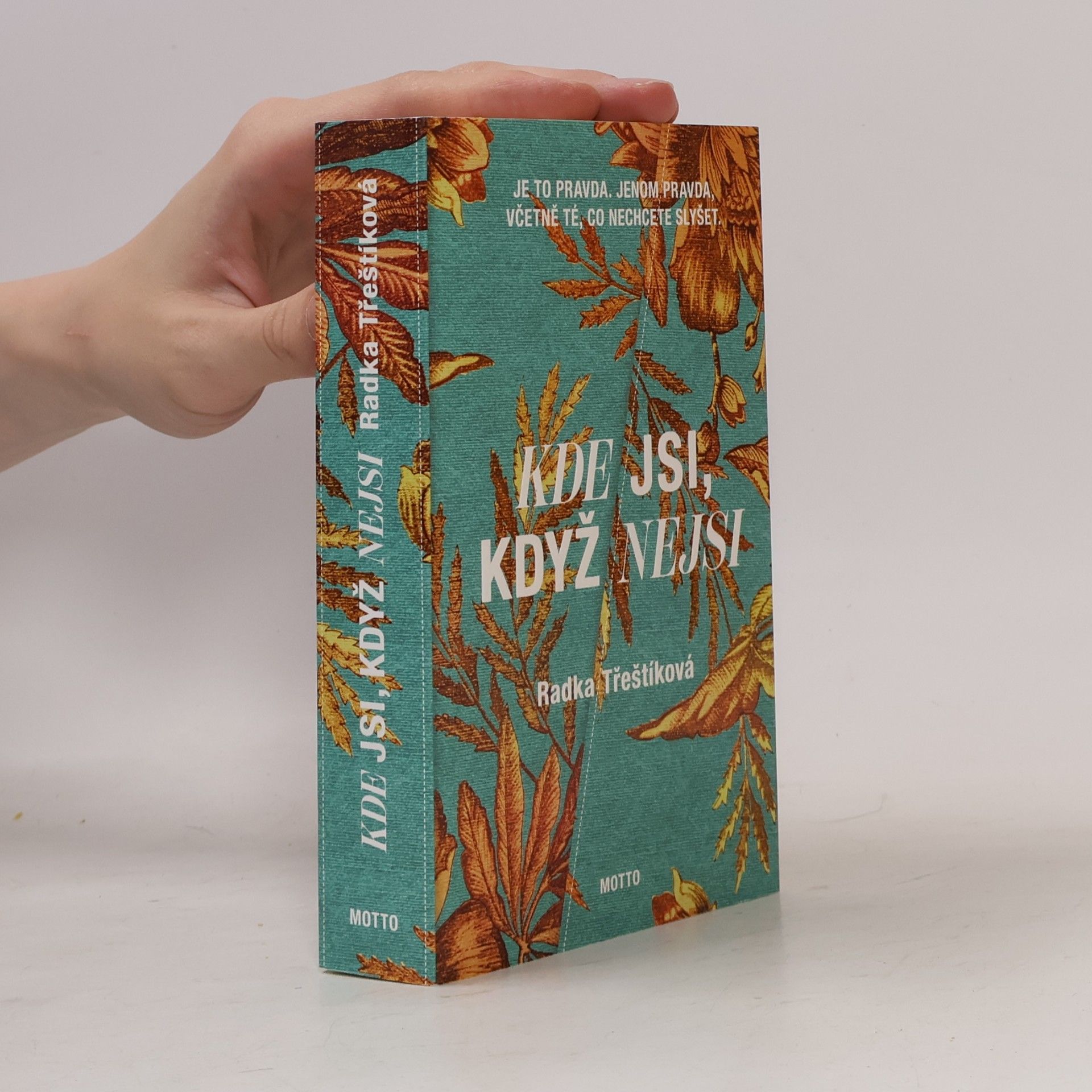 Radka Třeštíková Kde jsi, když nejsi