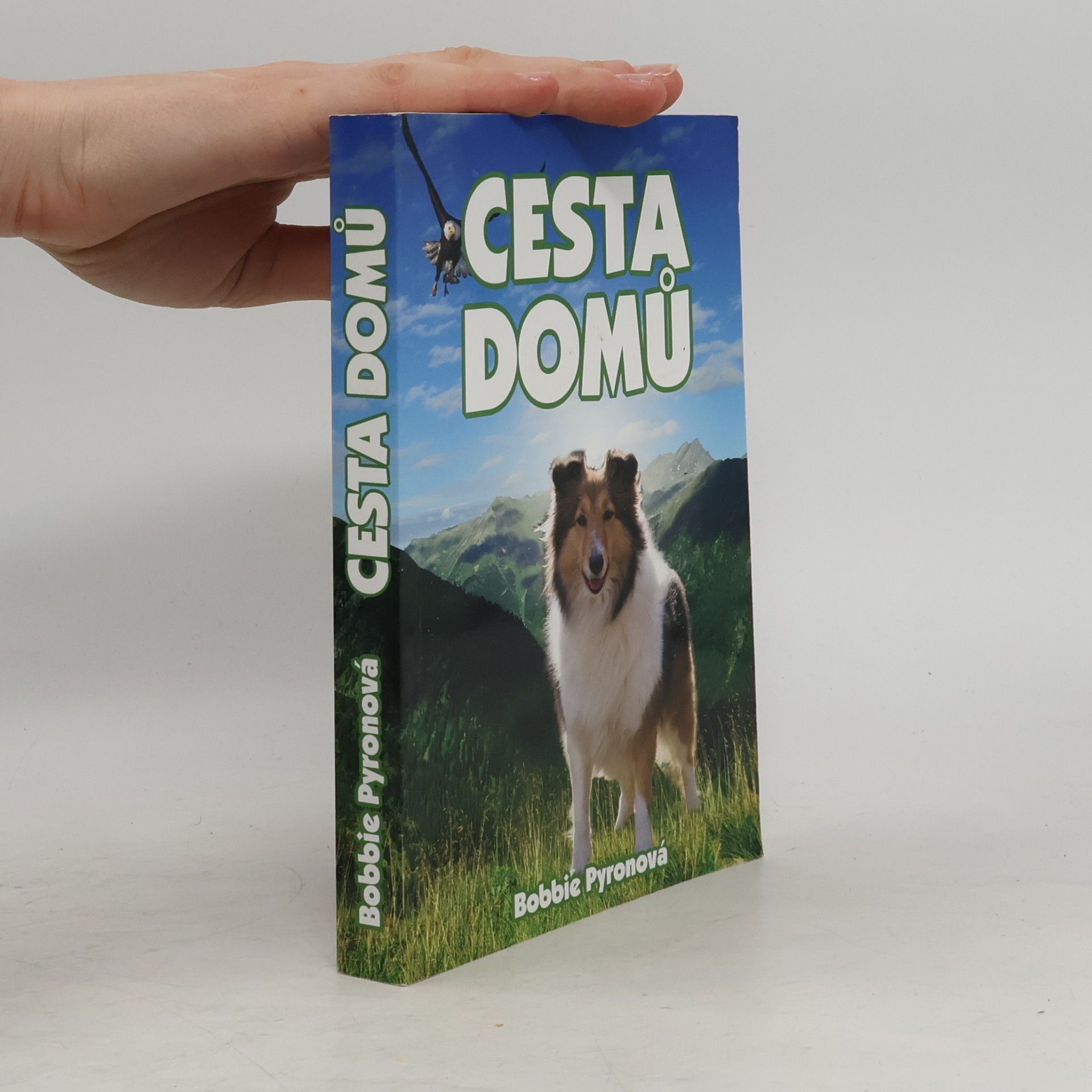 Bobbie Pyron Cesta domů