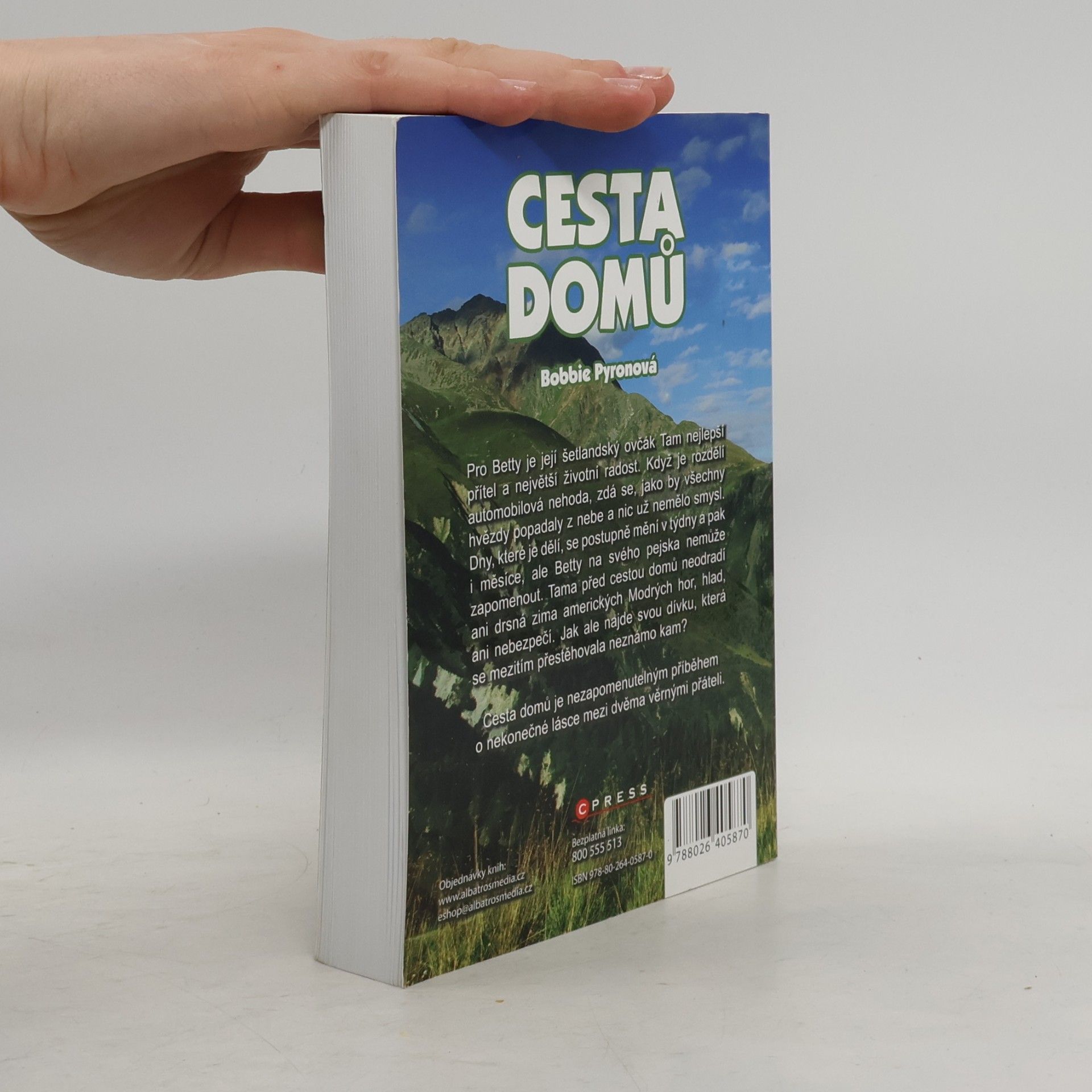 Bobbie Pyron Cesta domů
