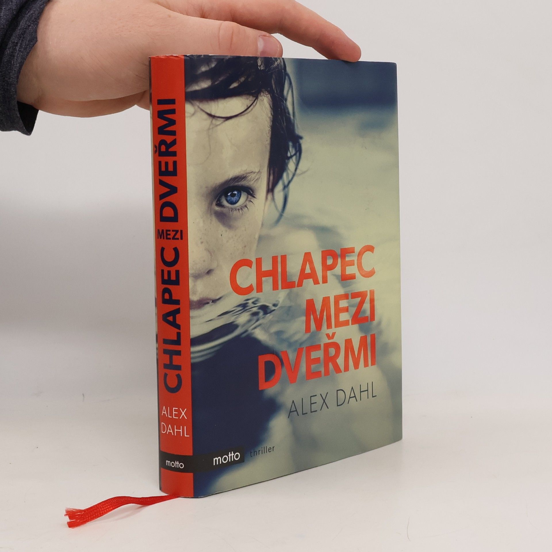 Alex Dahl Chlapec mezi dveřmi