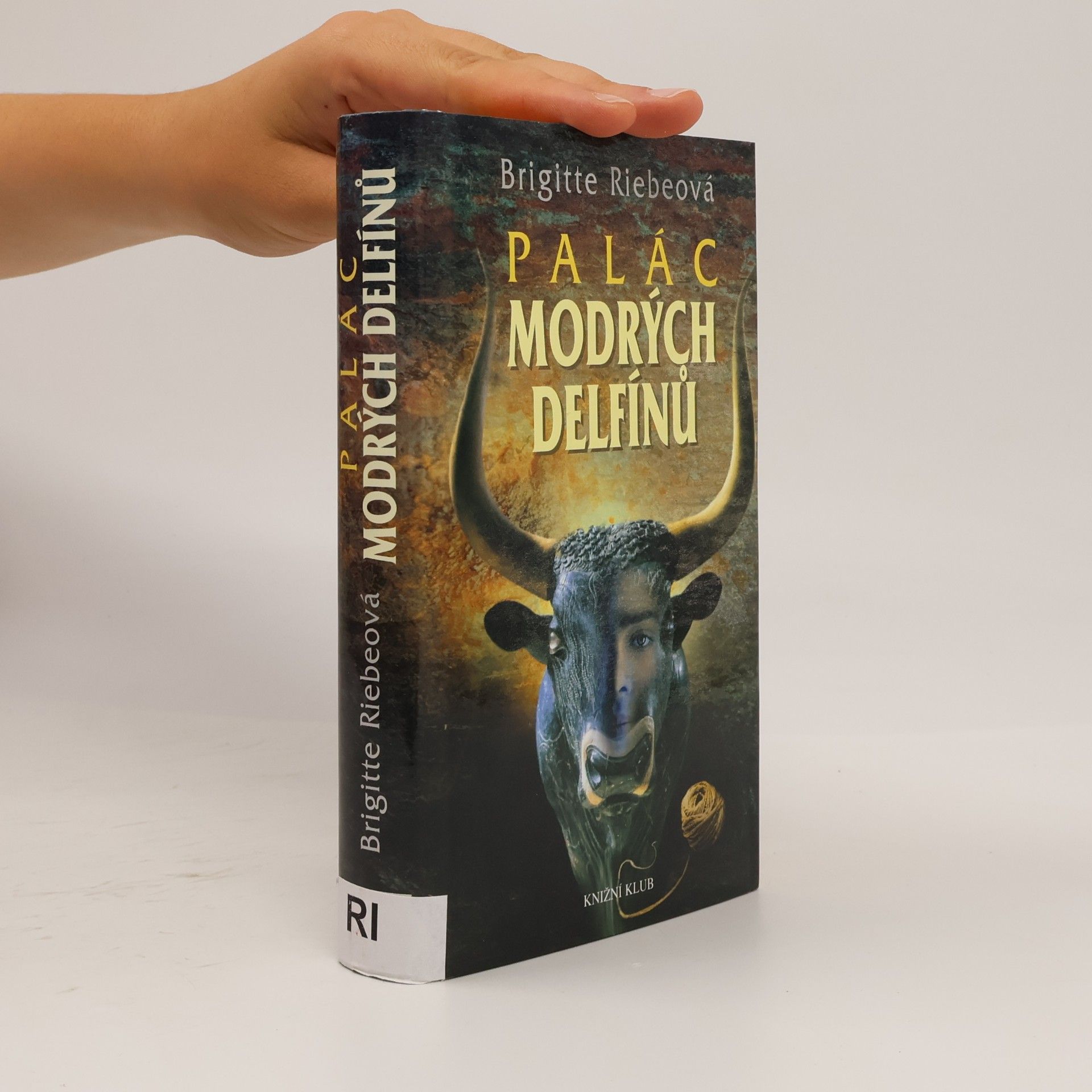 Brigitte Riebe Palác modrých delfínů