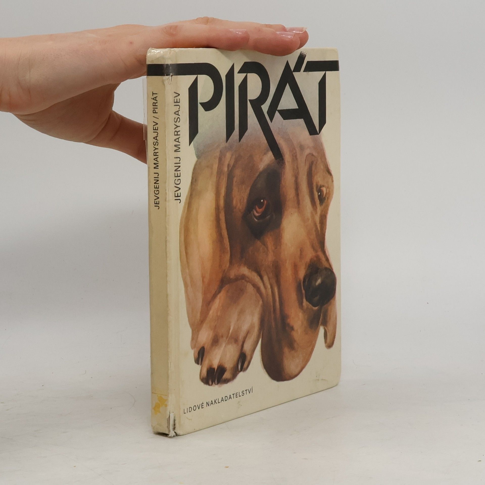 Jevgenij Marysajev Pirát