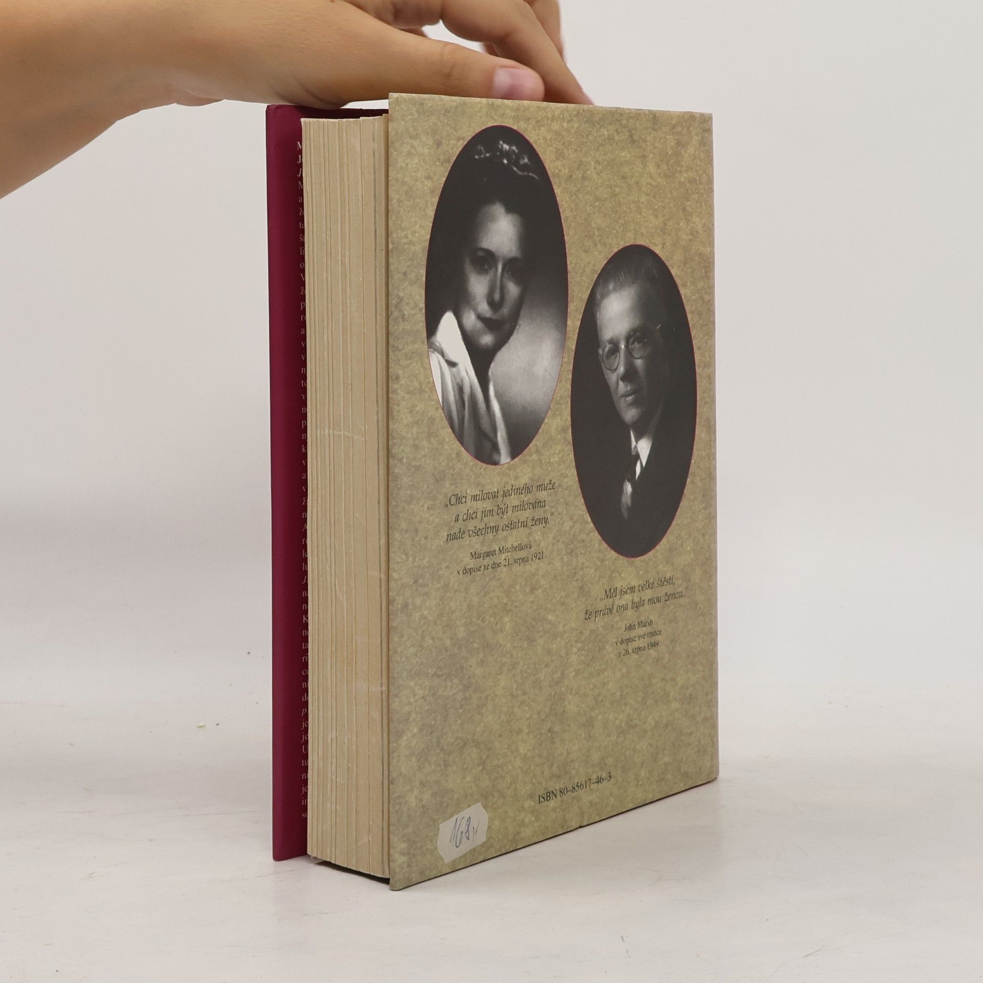 Marianne Walker Margaret Mitchellová & John Marsh : jejich love story na pozadí románu Jih proti Severu