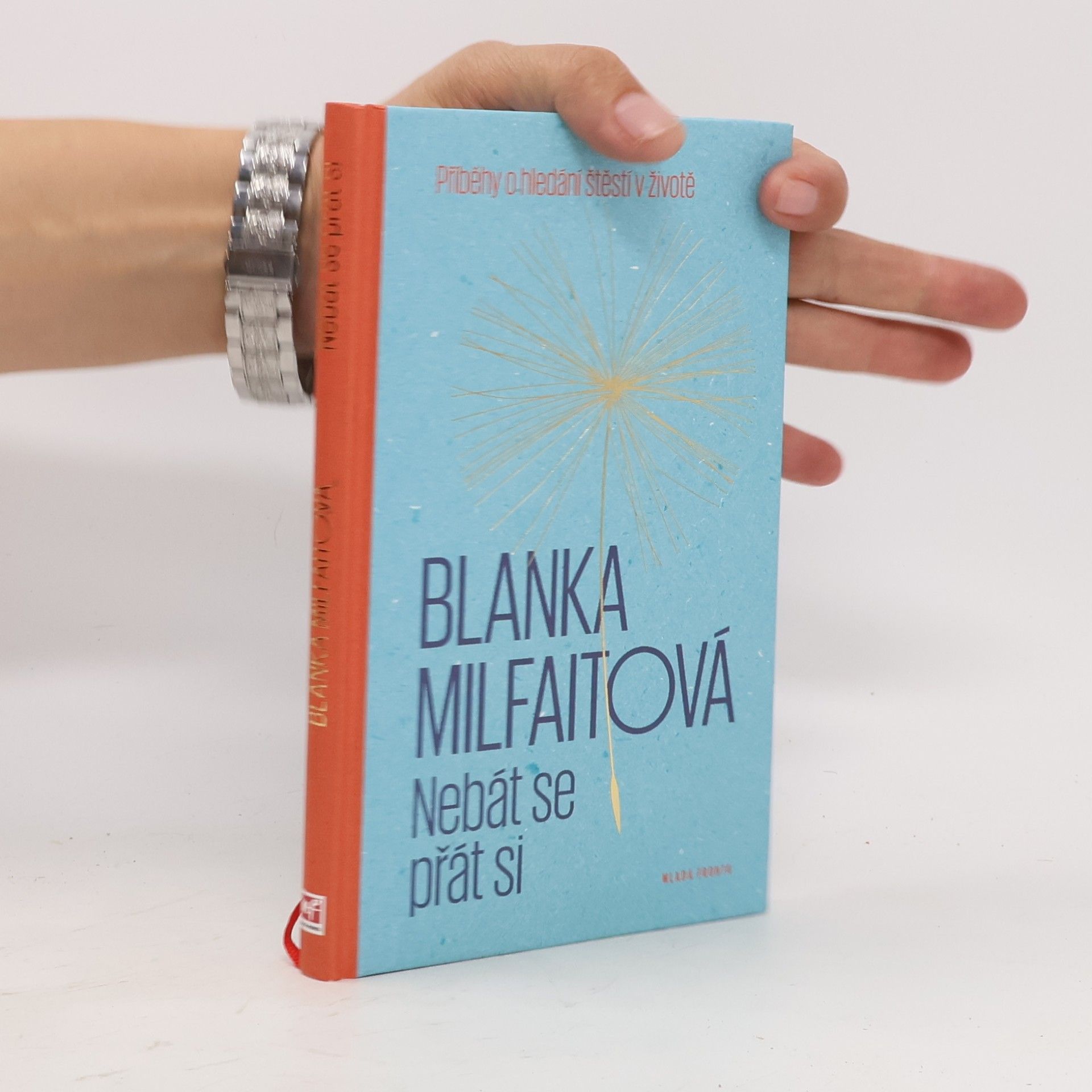 Blanka Milfaitová Nebát se přát si: Příběhy o hledání štěstí v životě