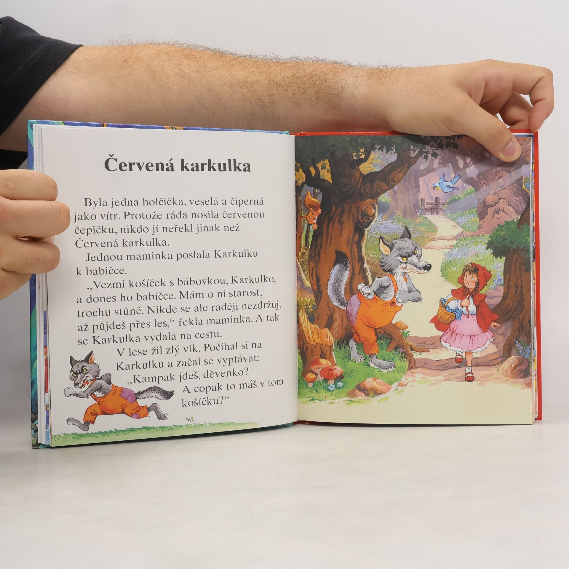 Dana Winklerová Učím se číst - Pinocchiova dobrodružství