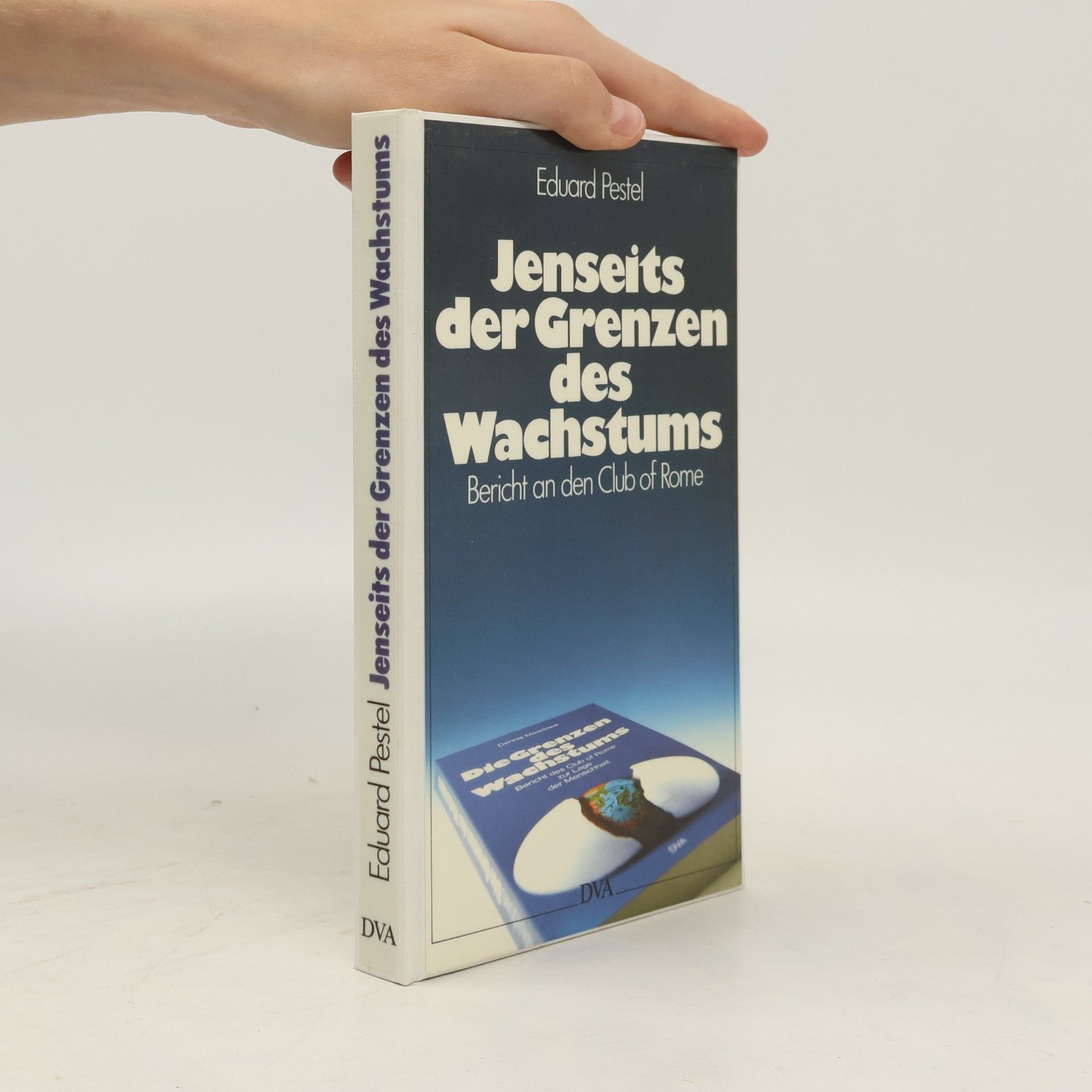 Jenseits der Grenzen des Wachstums