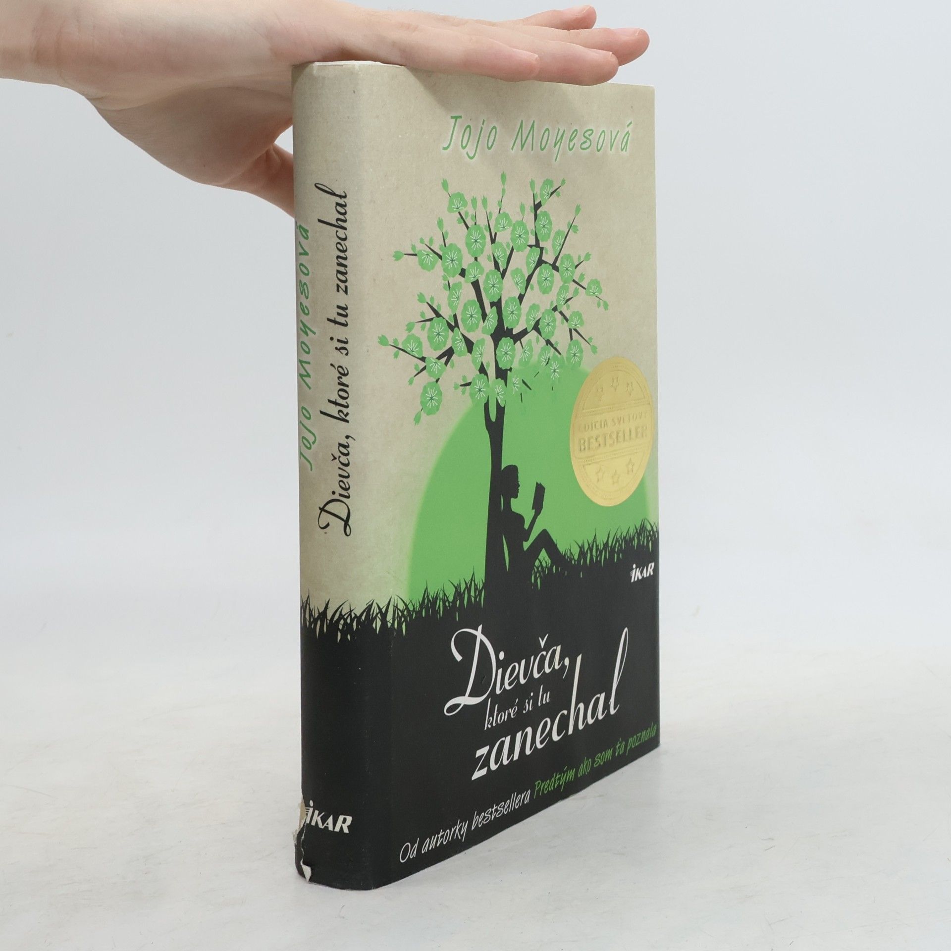 Jojo Moyes Dievča, ktoré si tu zanechal