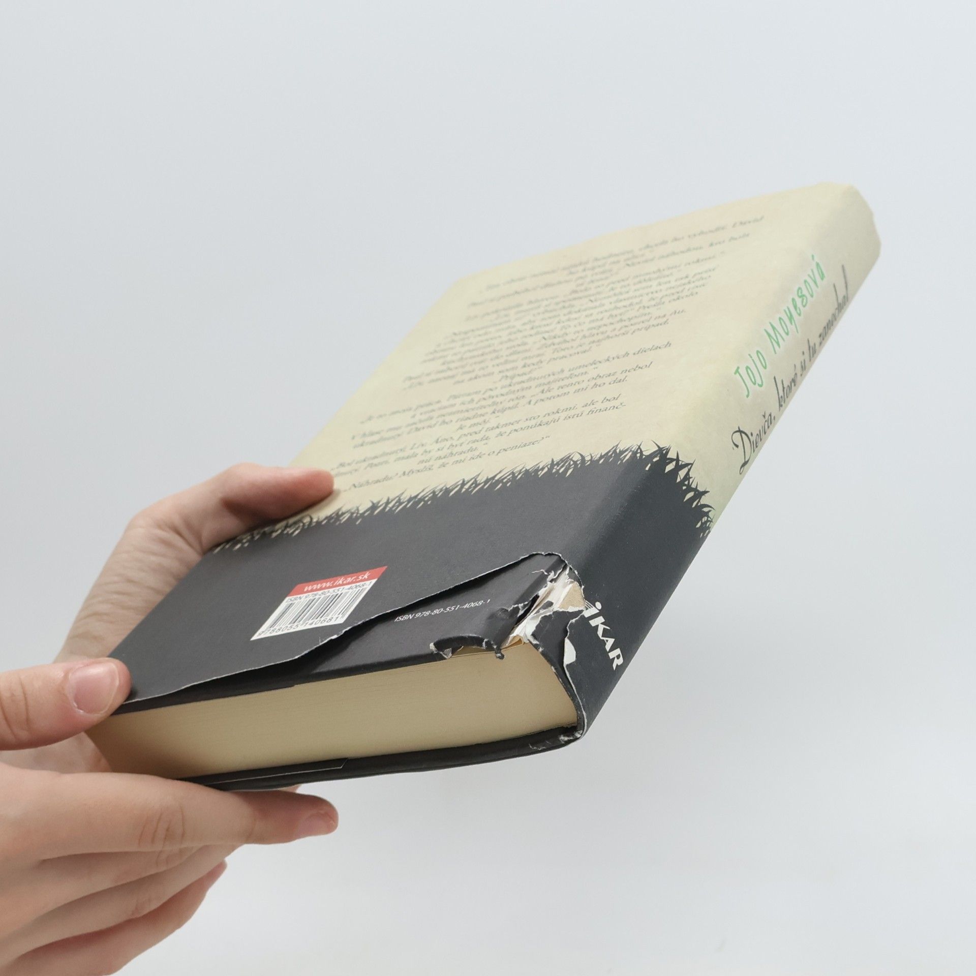 Jojo Moyes Dievča, ktoré si tu zanechal