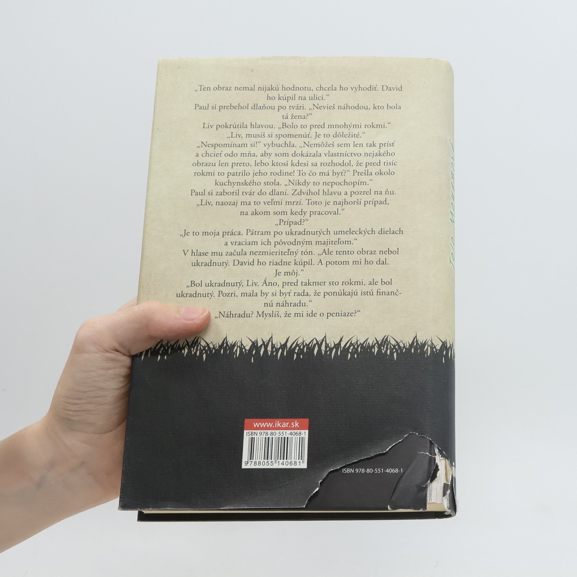 Jojo Moyes Dievča, ktoré si tu zanechal